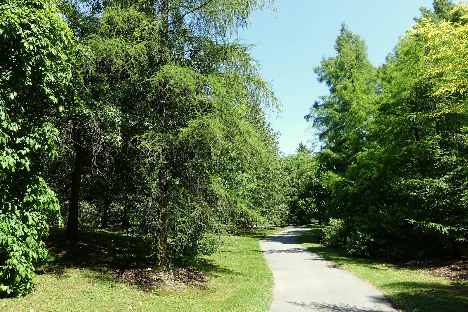VanDusen Botanical Garden