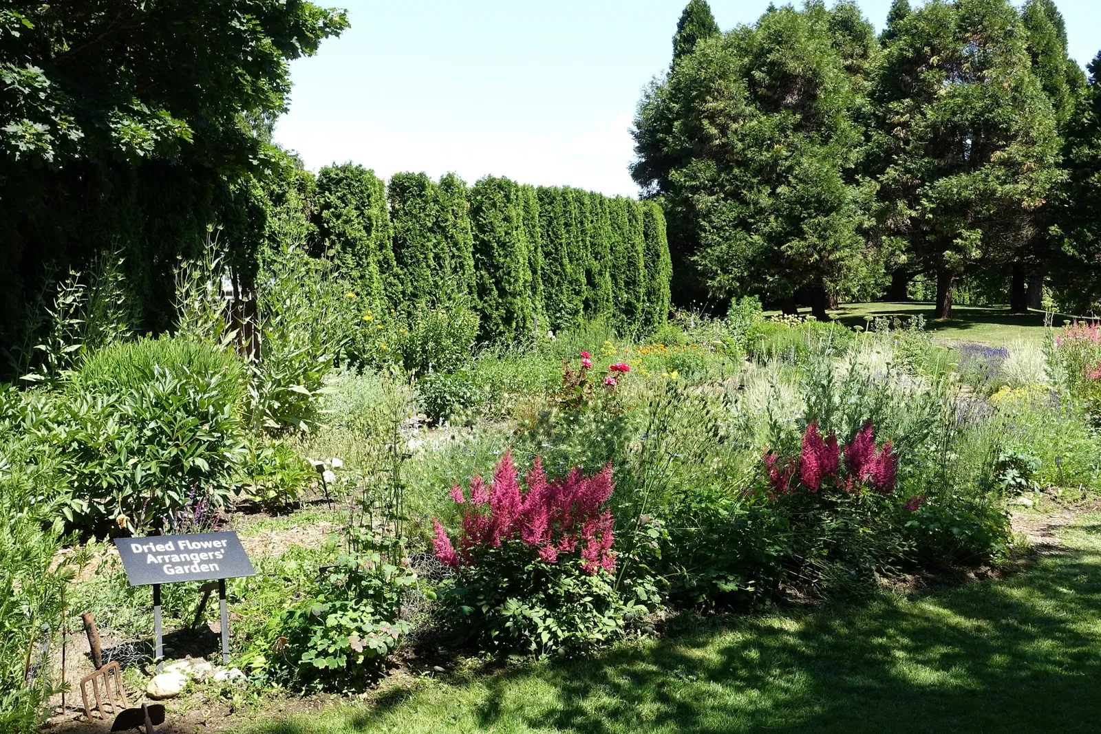 Beelden in de VanDusen Botanical Garden