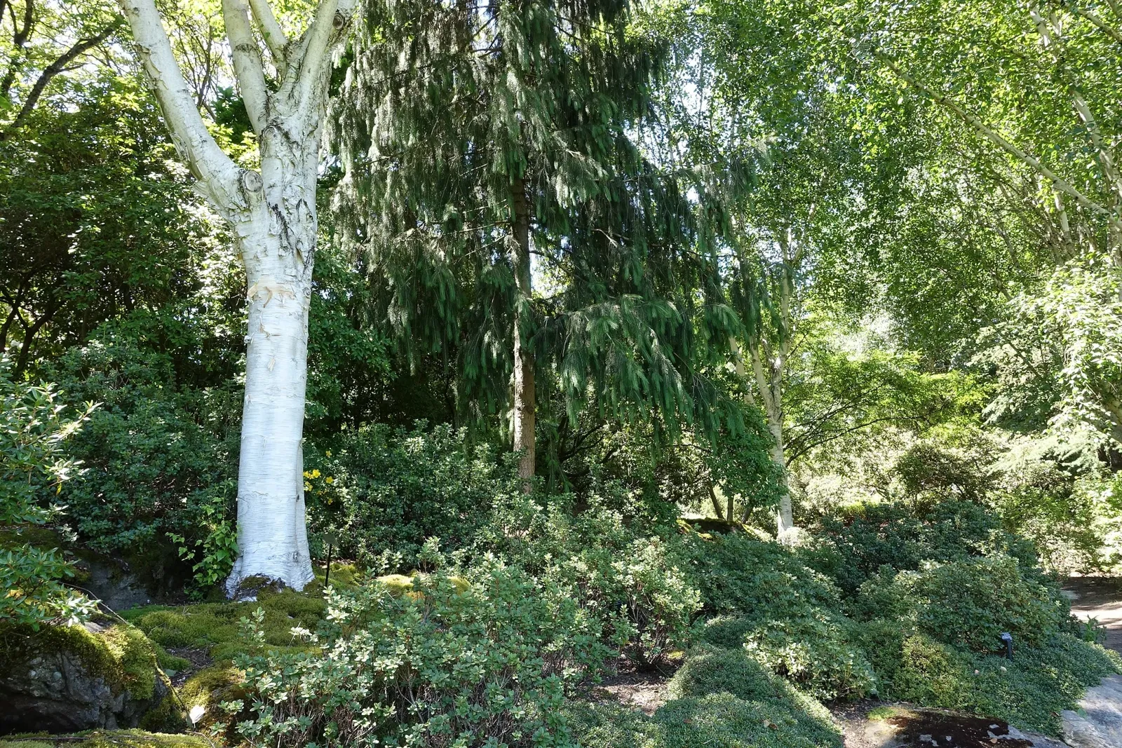 Beelden in de VanDusen Botanical Garden