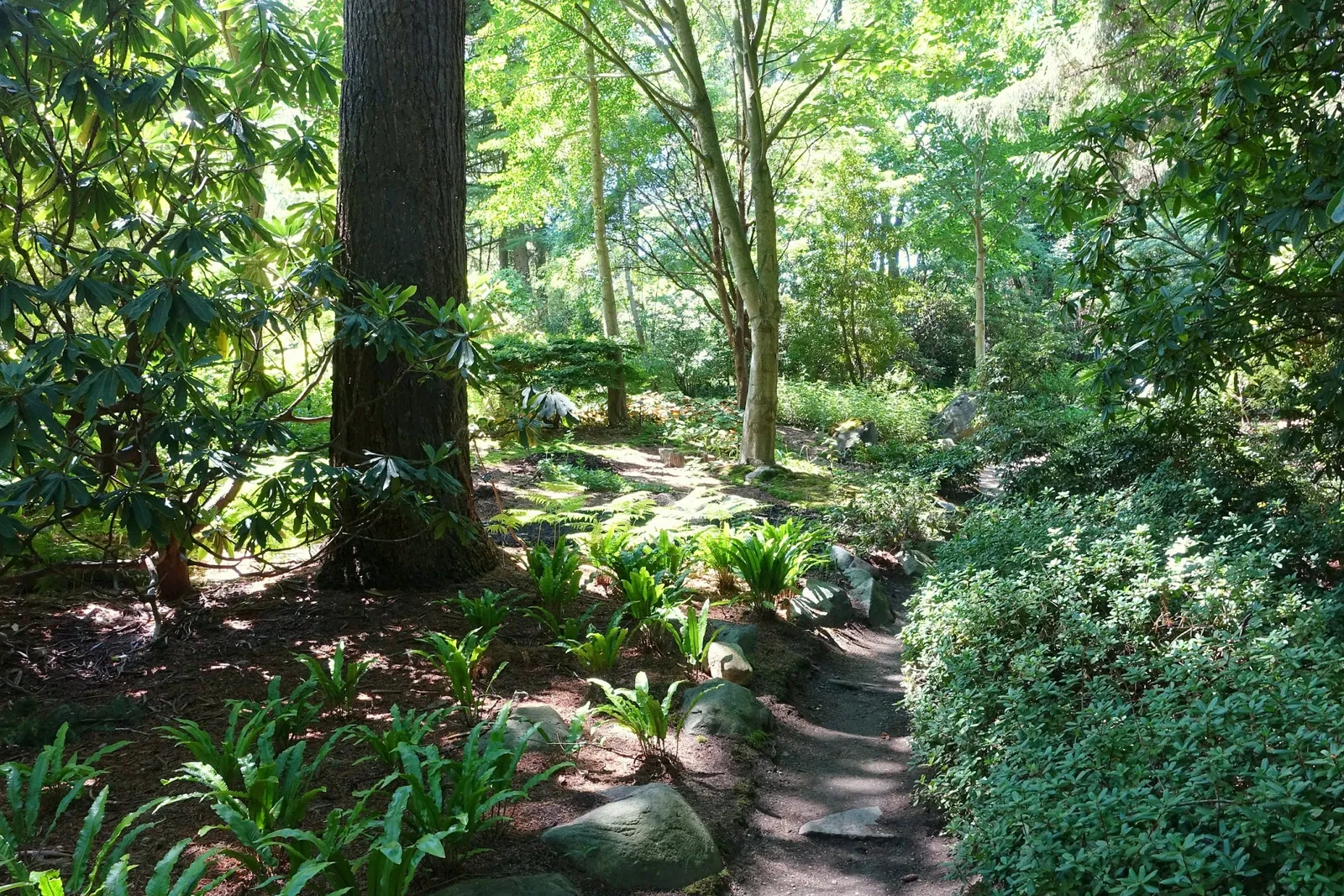 VanDusen Botanical Garden