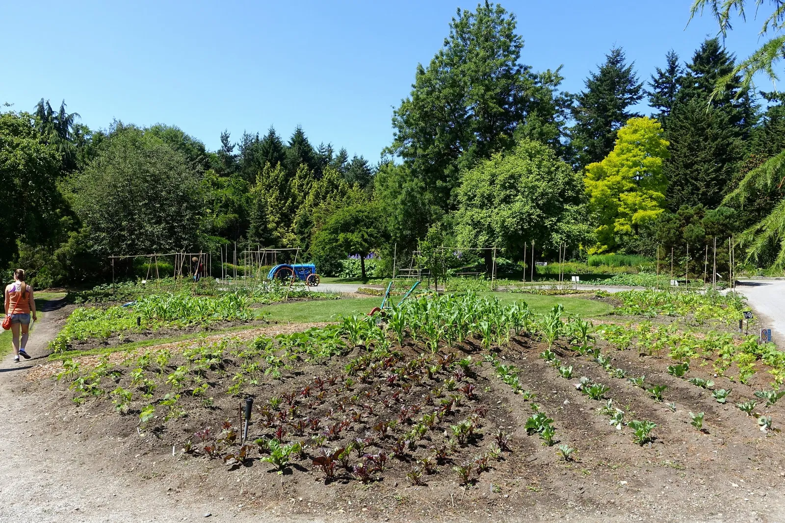 VanDusen Botanical Garden