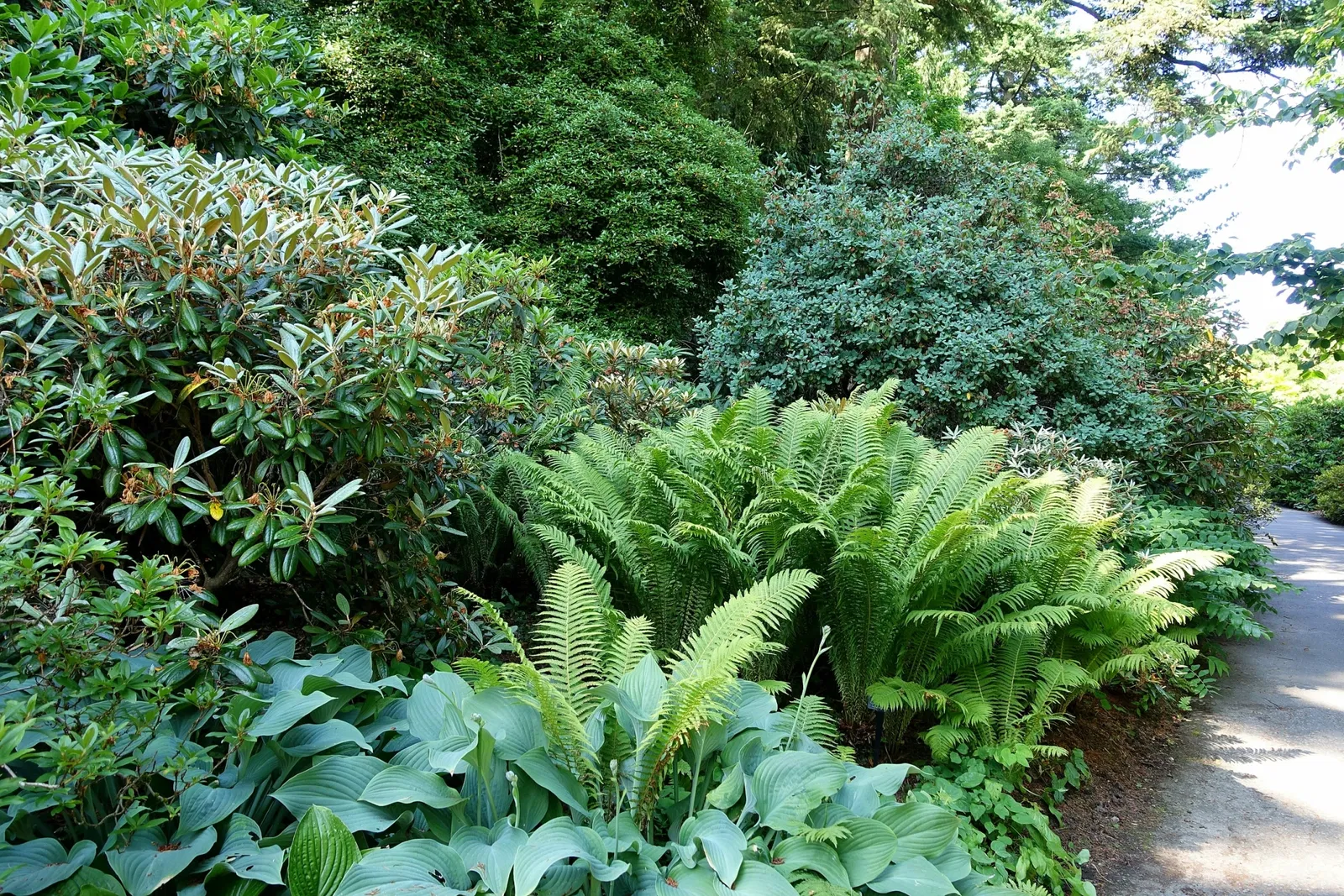 VanDusen Botanical Garden