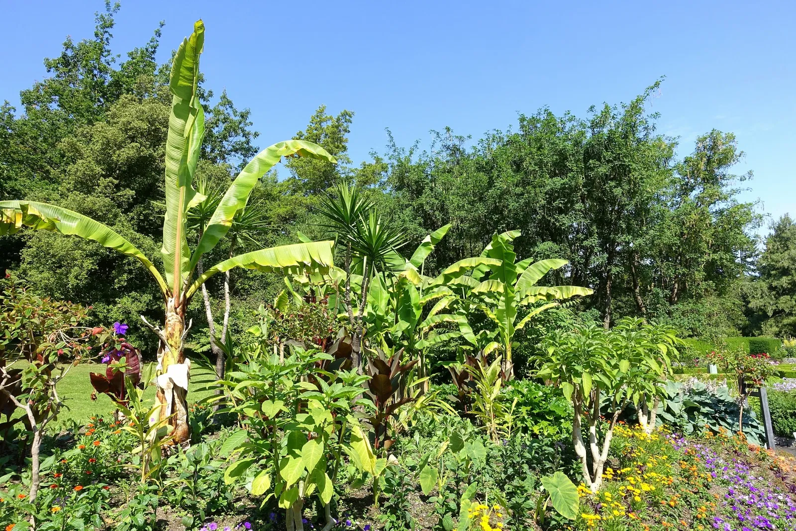 VanDusen Botanical Garden