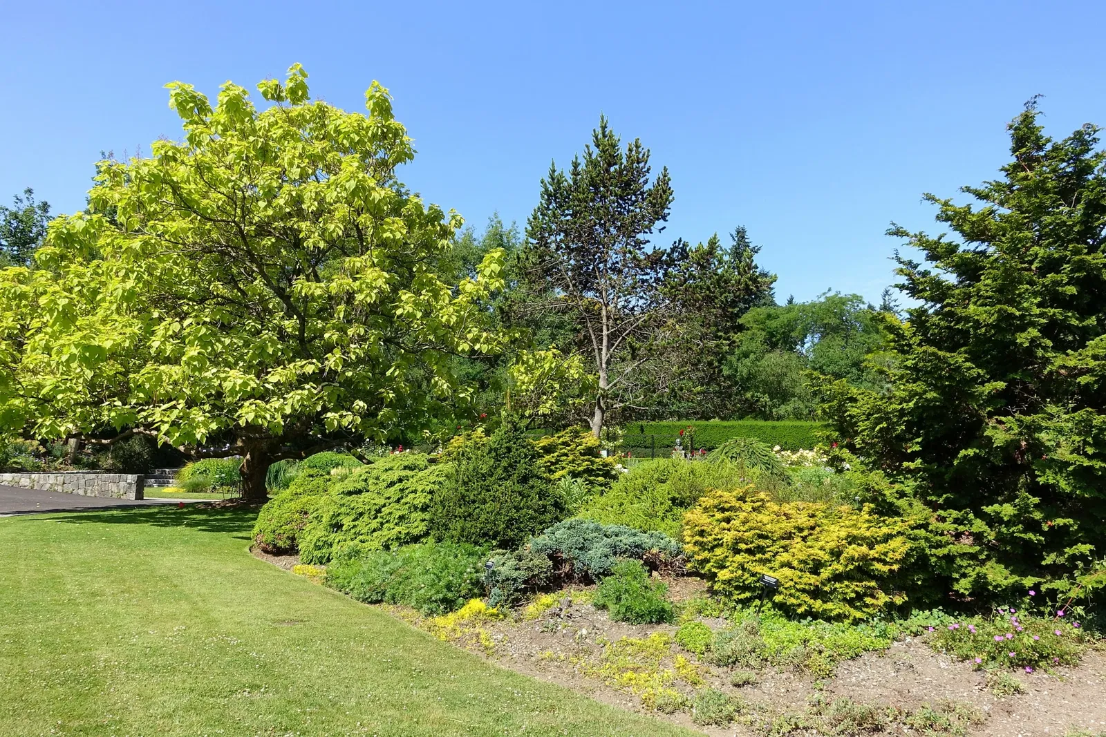 Beelden in de VanDusen Botanical Garden
