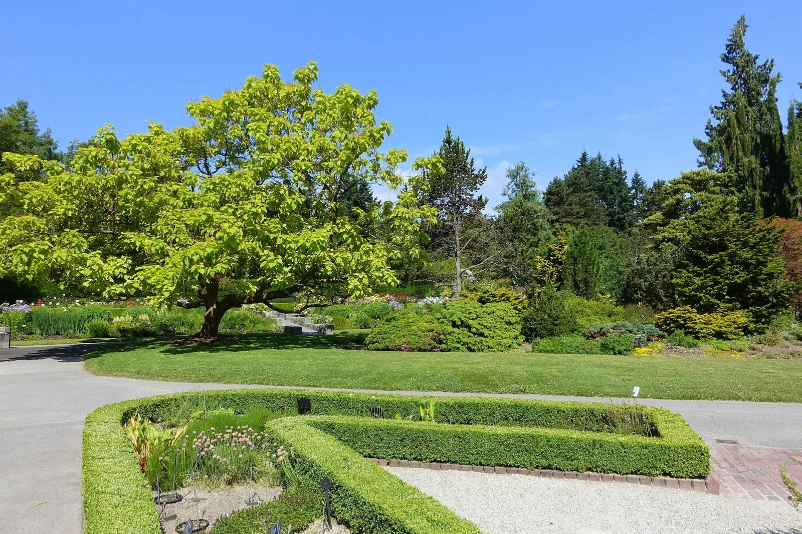 VanDusen Botanical Garden