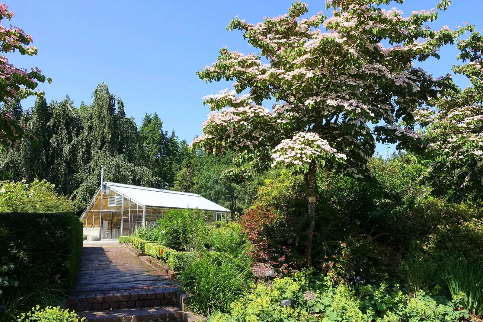 VanDusen Botanical Garden
