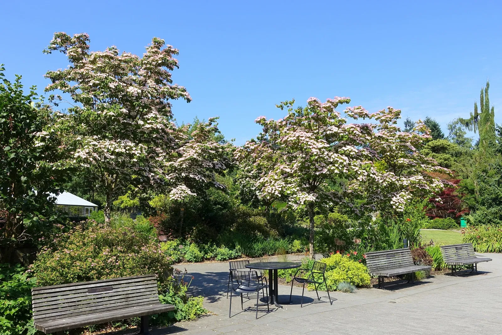 VanDusen Botanical Garden