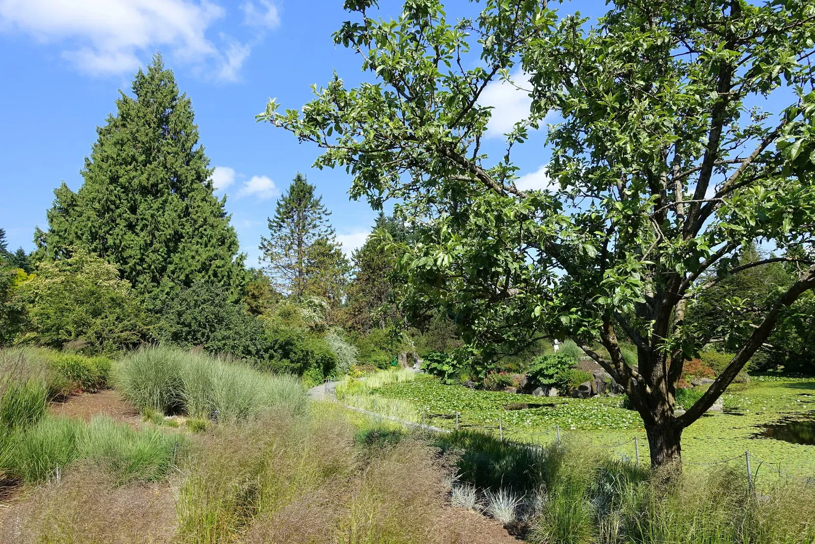 VanDusen Botanical Garden