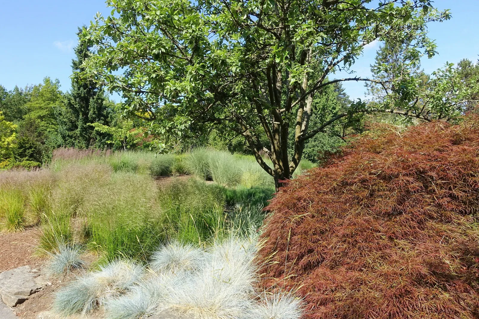 VanDusen Botanical Garden