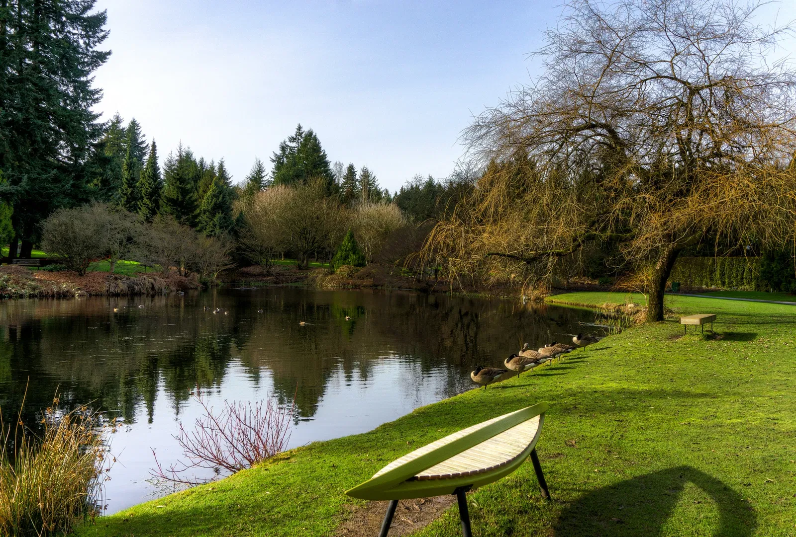 Beelden in de VanDusen Botanical Garden