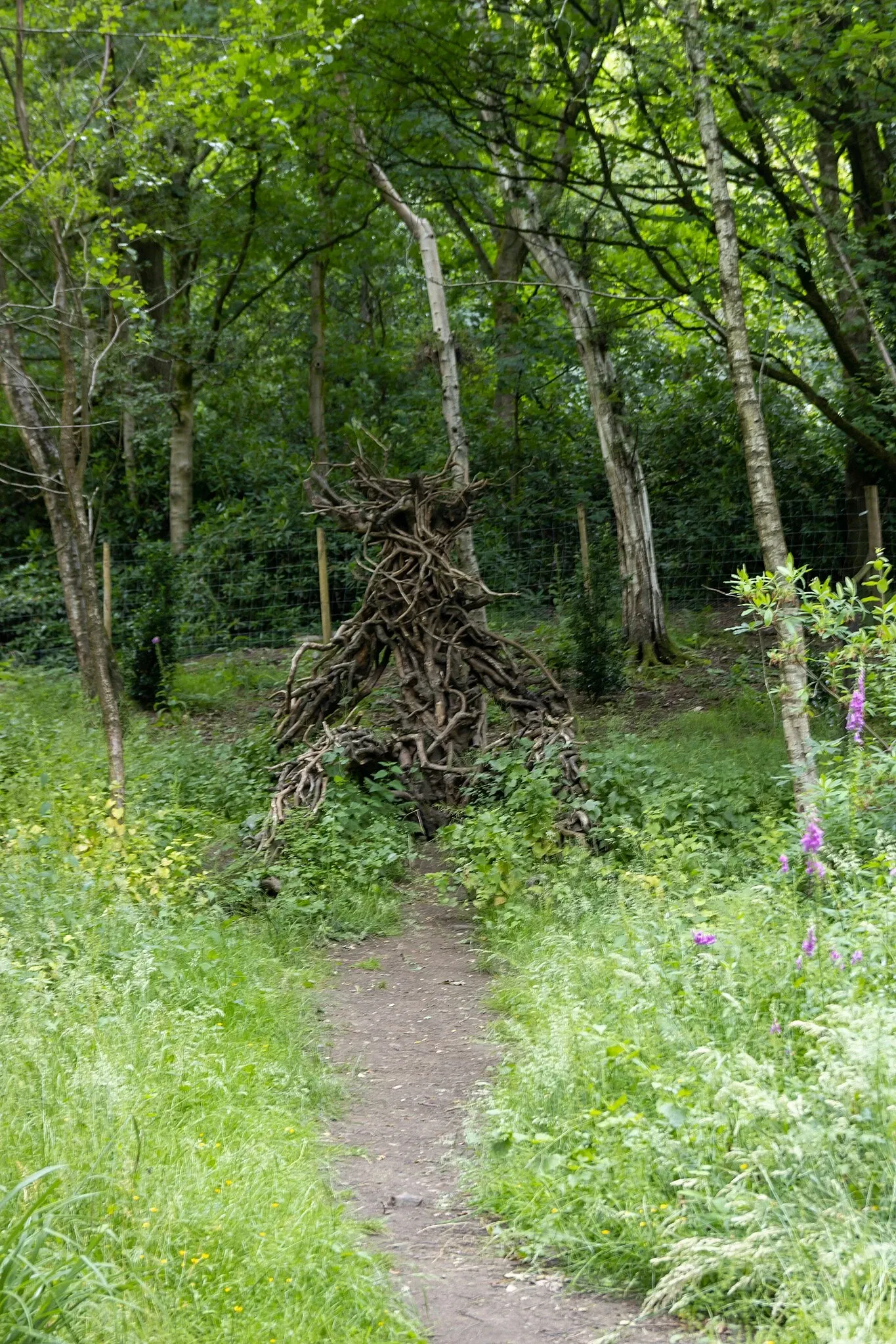 RHS Garden Bridgewater