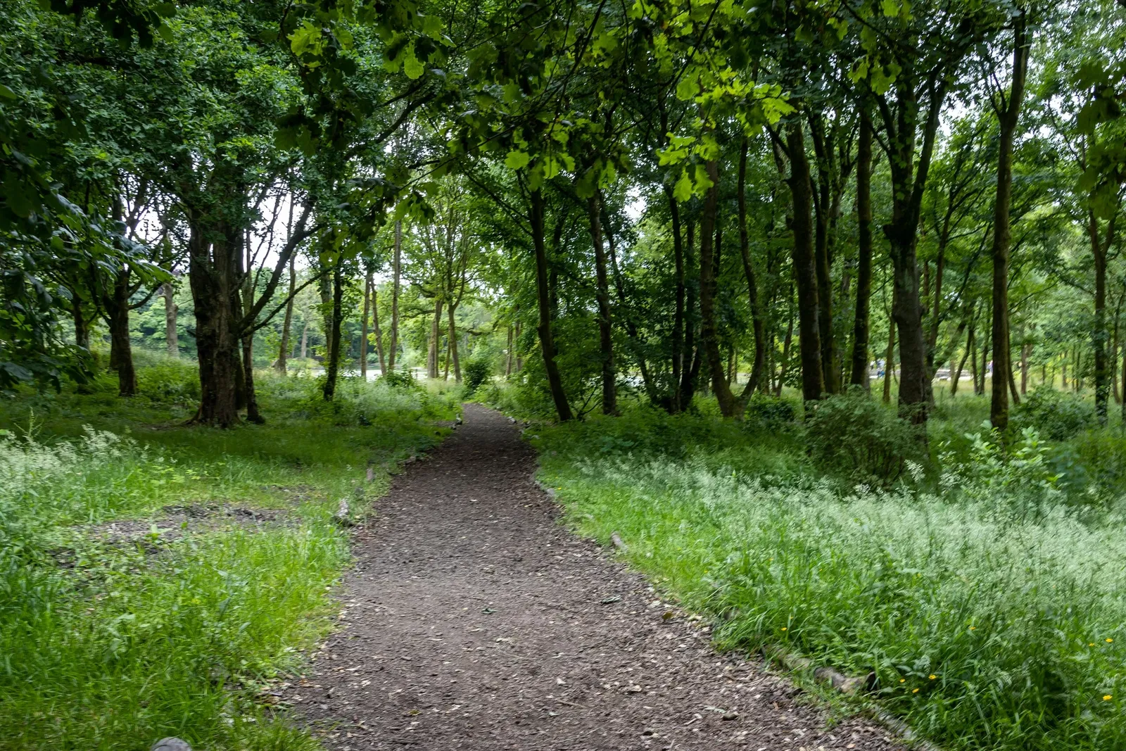 RHS Garden Bridgewater