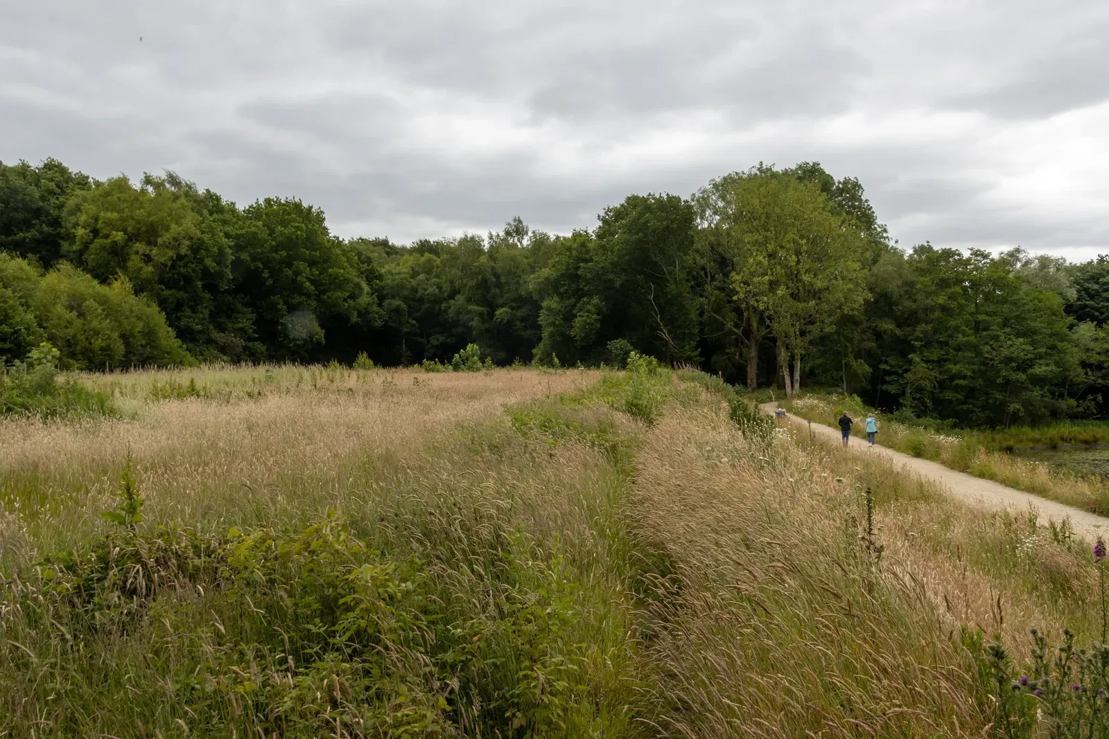RHS Garden Bridgewater
