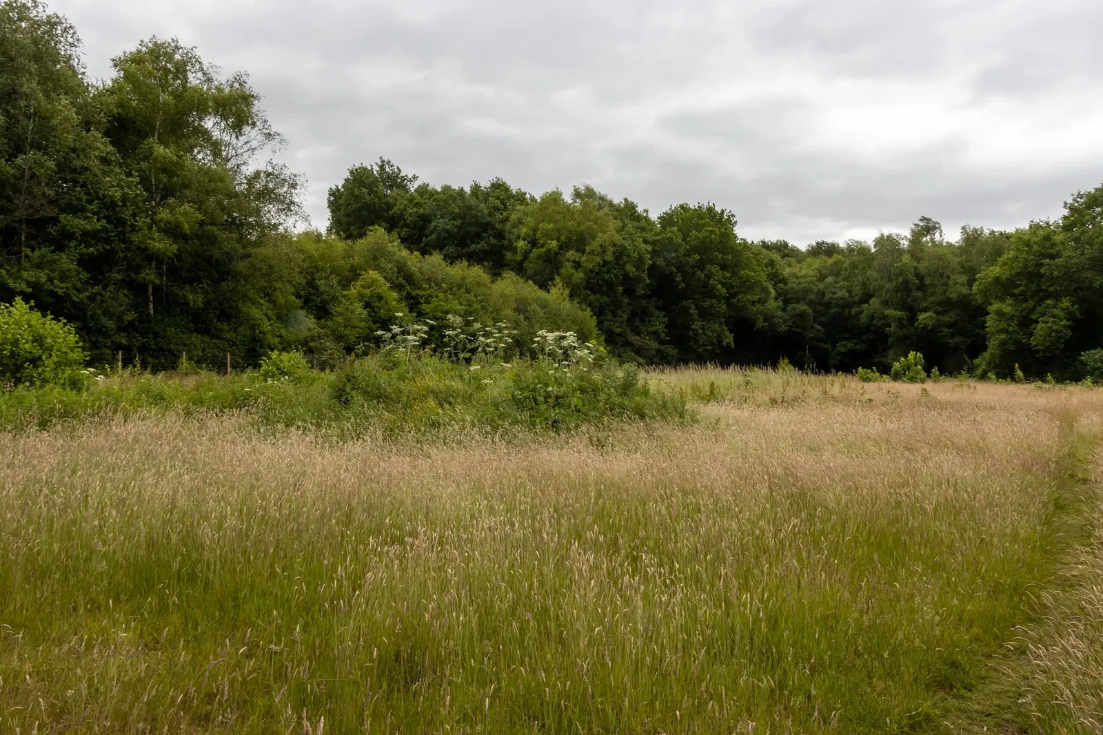 RHS Garden Bridgewater