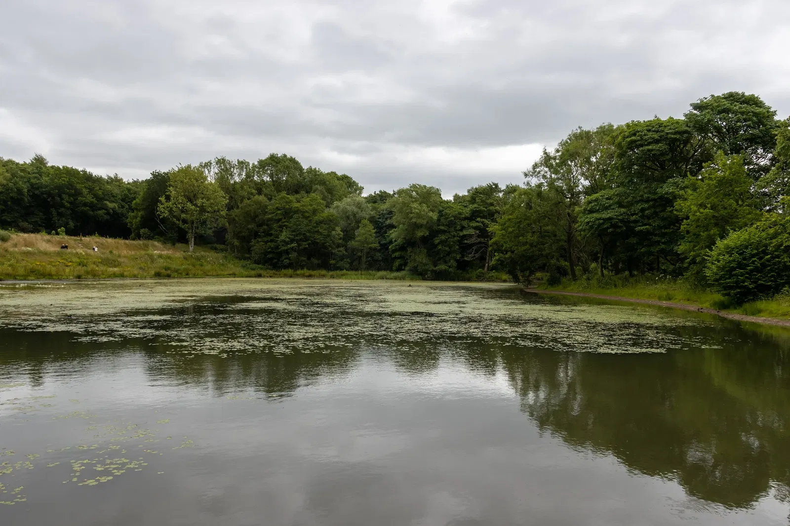 RHS Garden Bridgewater