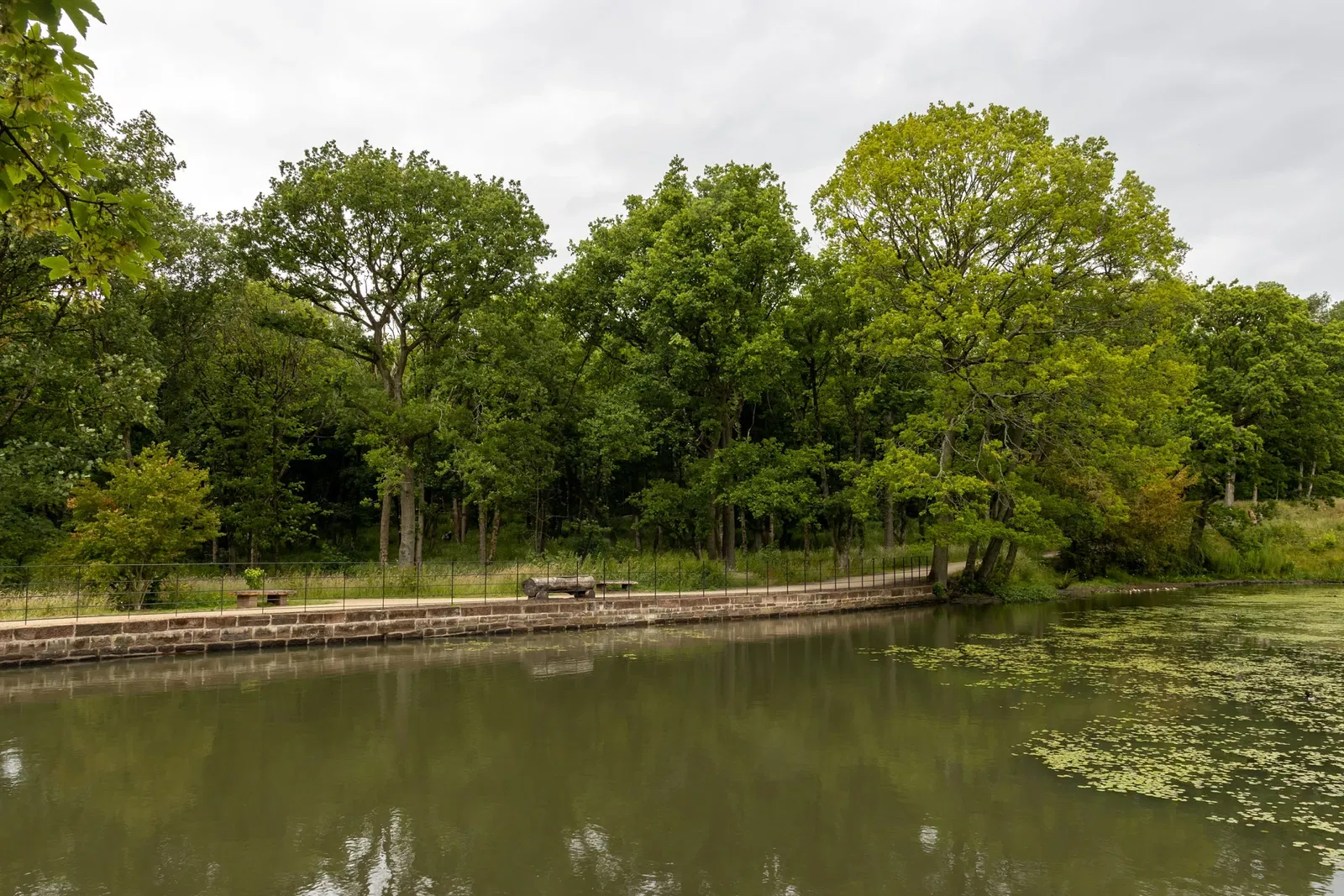 RHS Garden Bridgewater