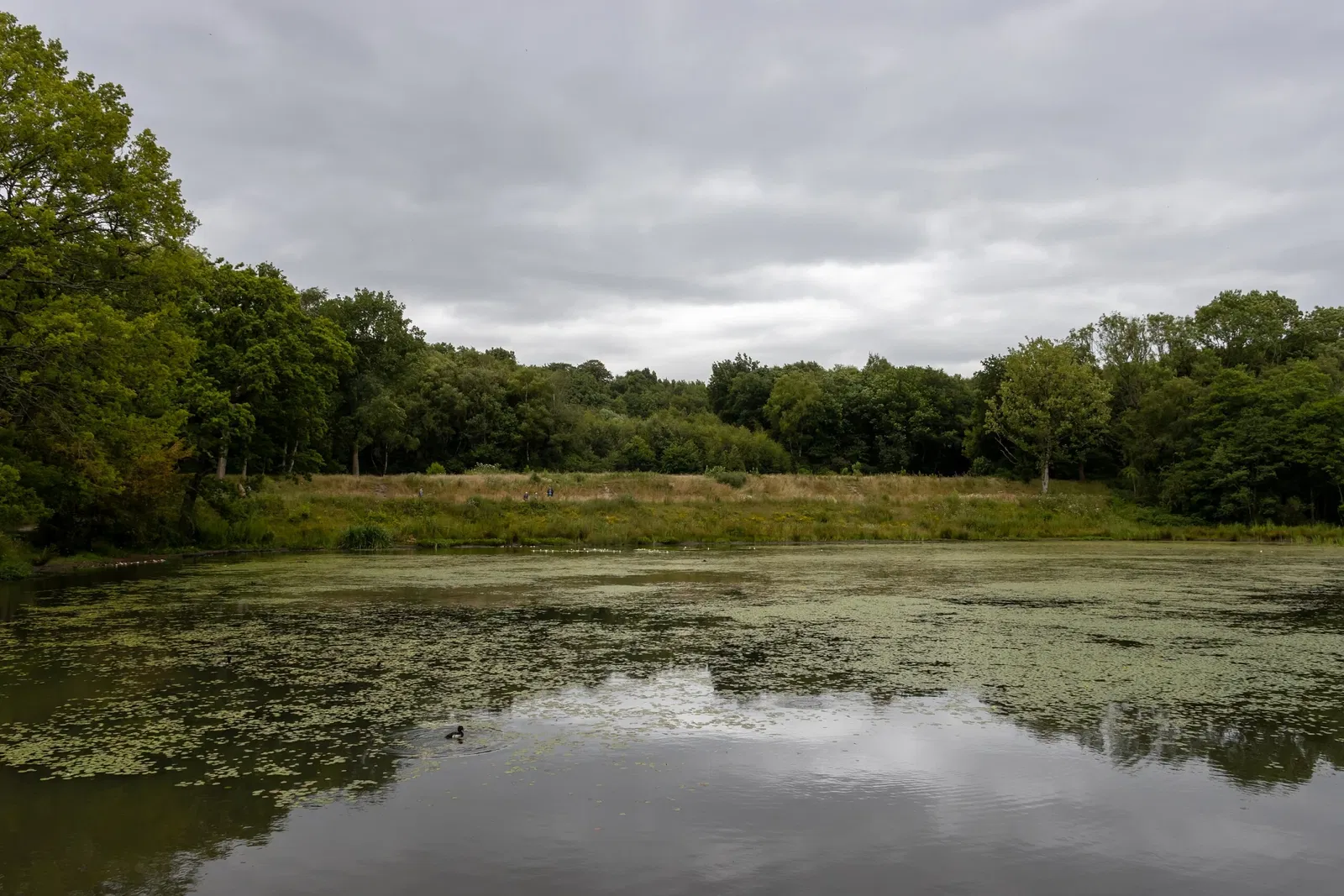 RHS Garden Bridgewater