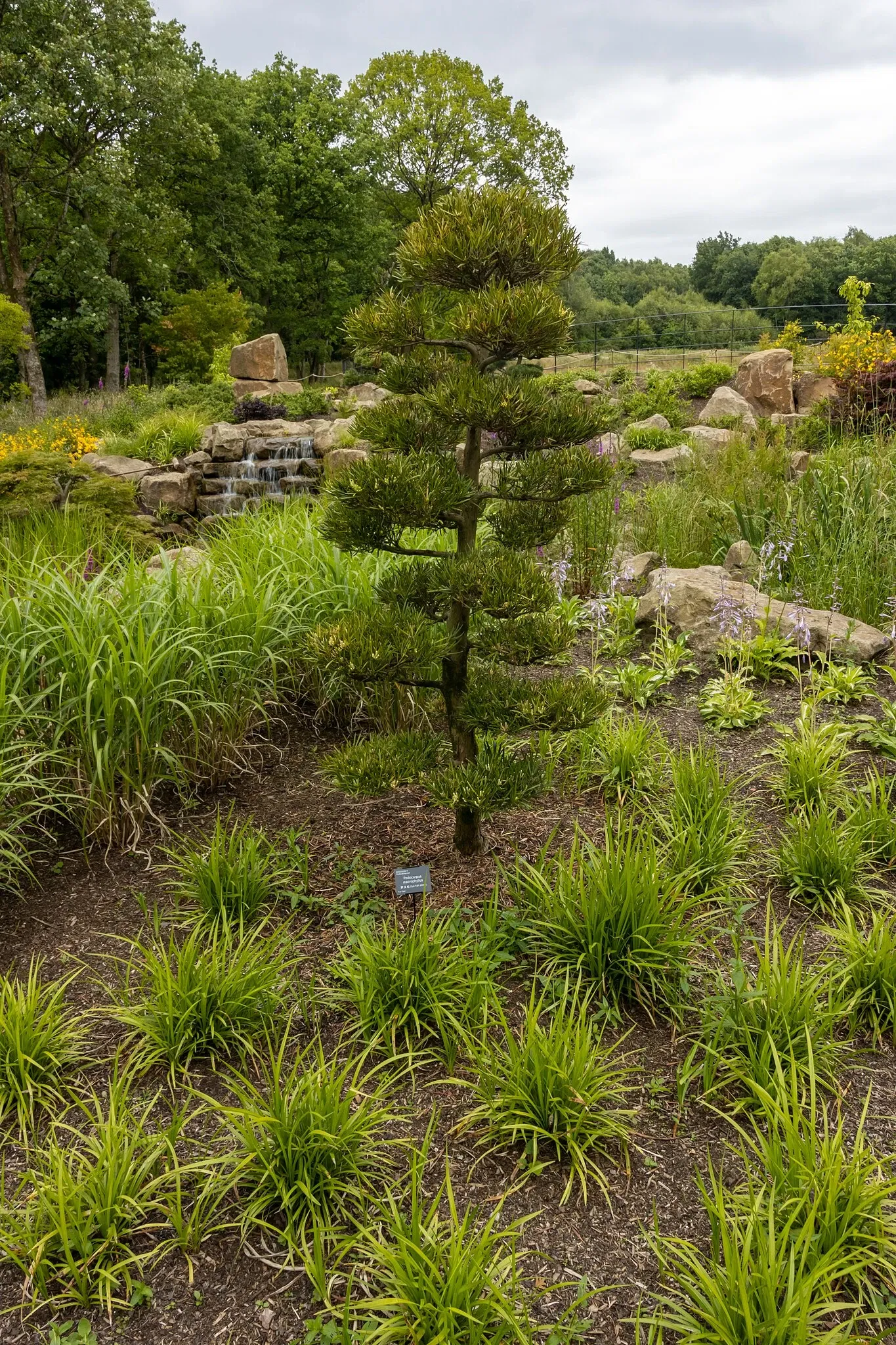 RHS Garden Bridgewater