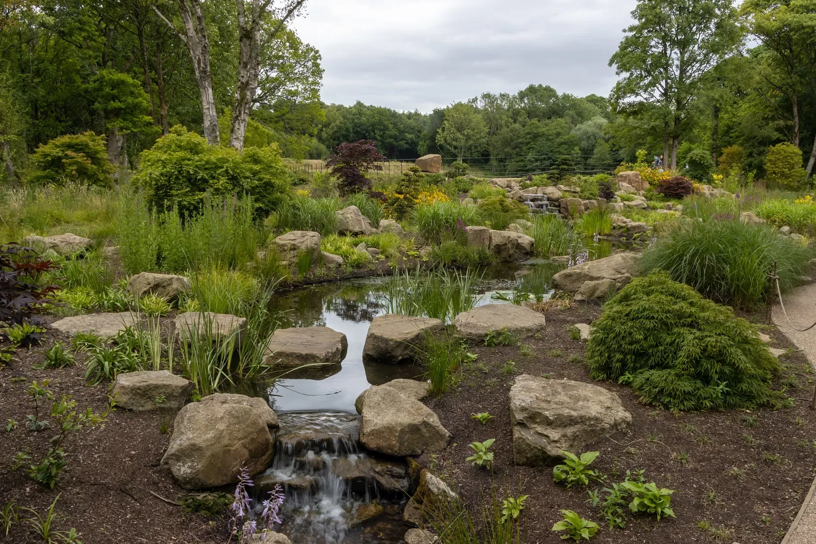 RHS Garden Bridgewater