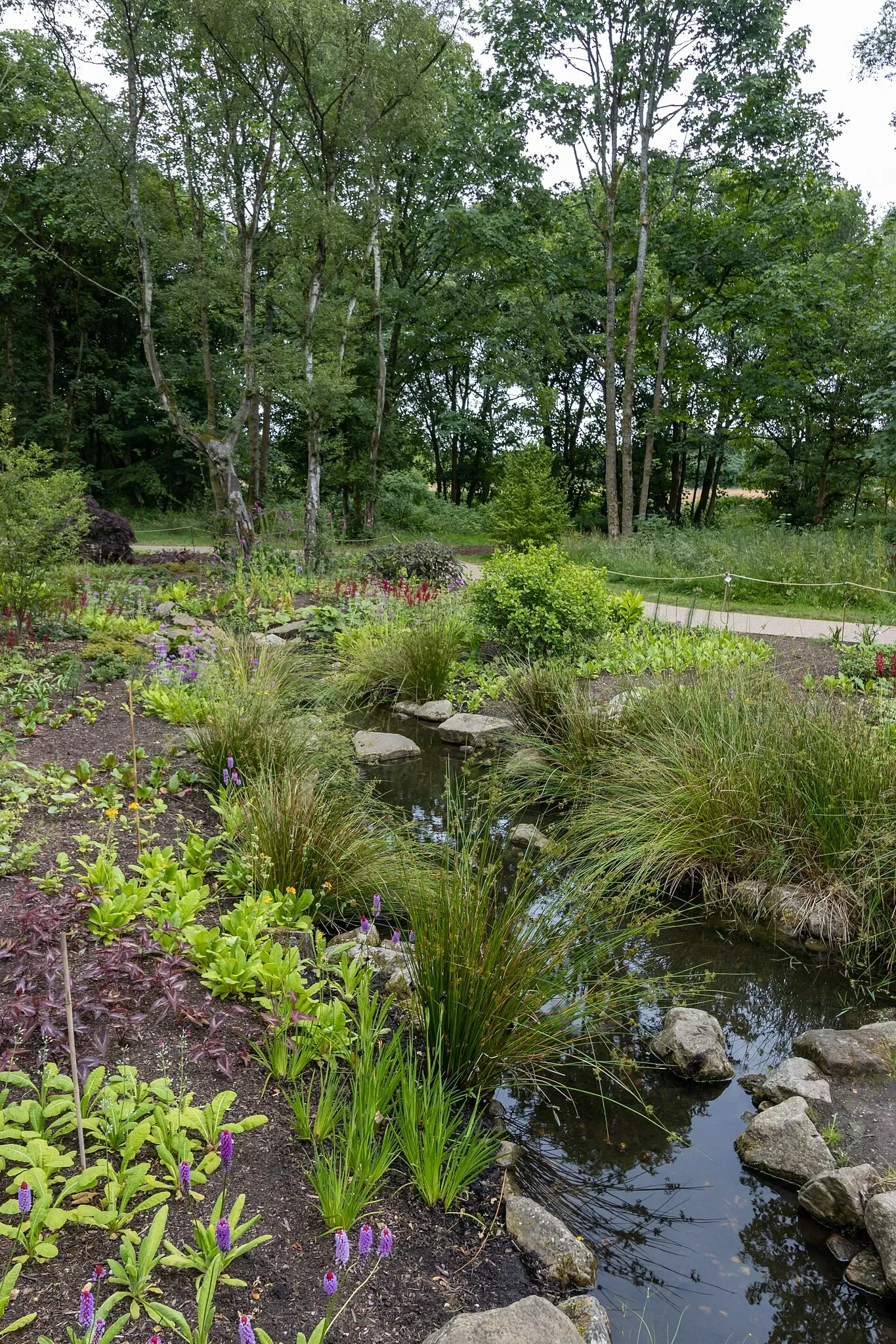 RHS Garden Bridgewater