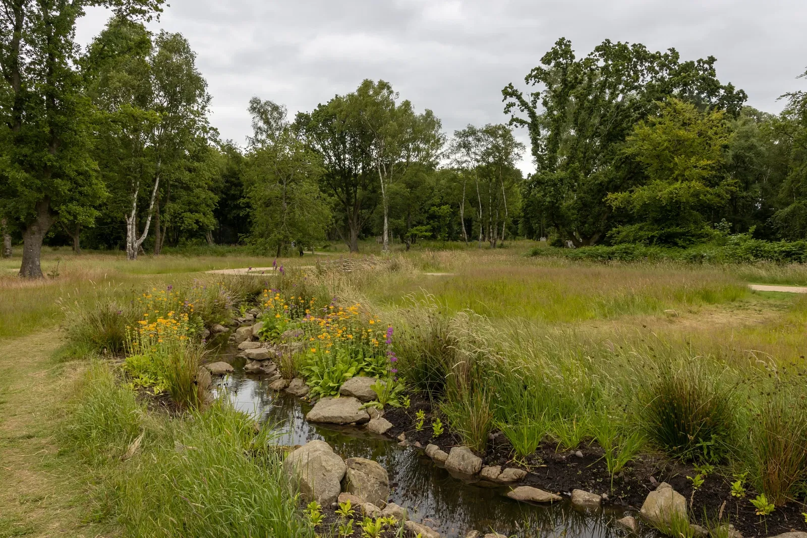 RHS Garden Bridgewater