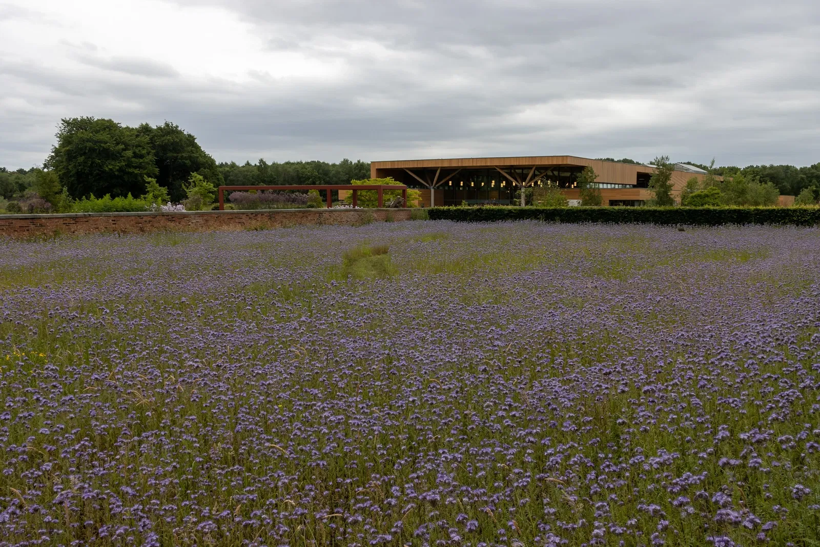 RHS Garden Bridgewater