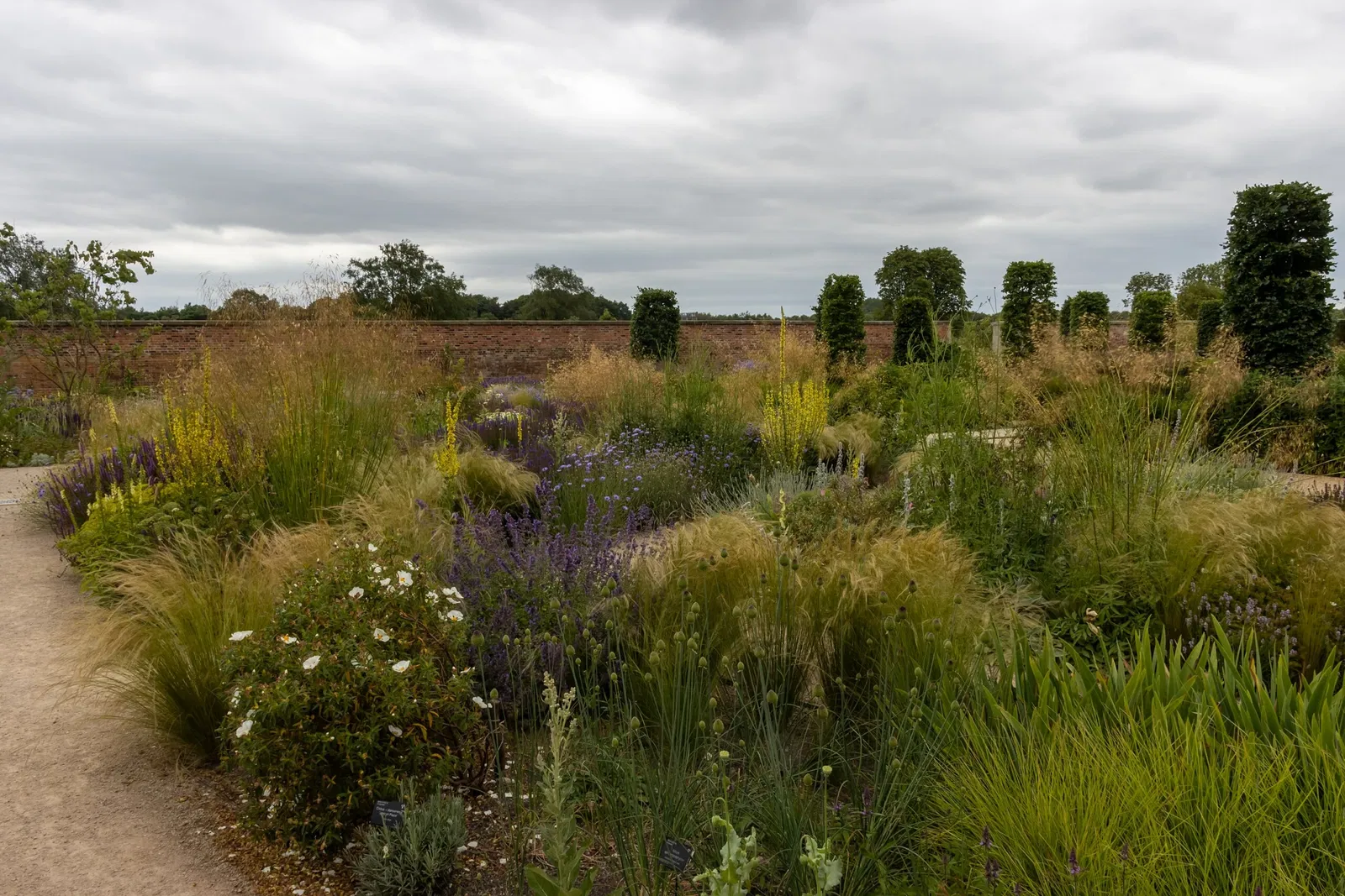 RHS Garden Bridgewater