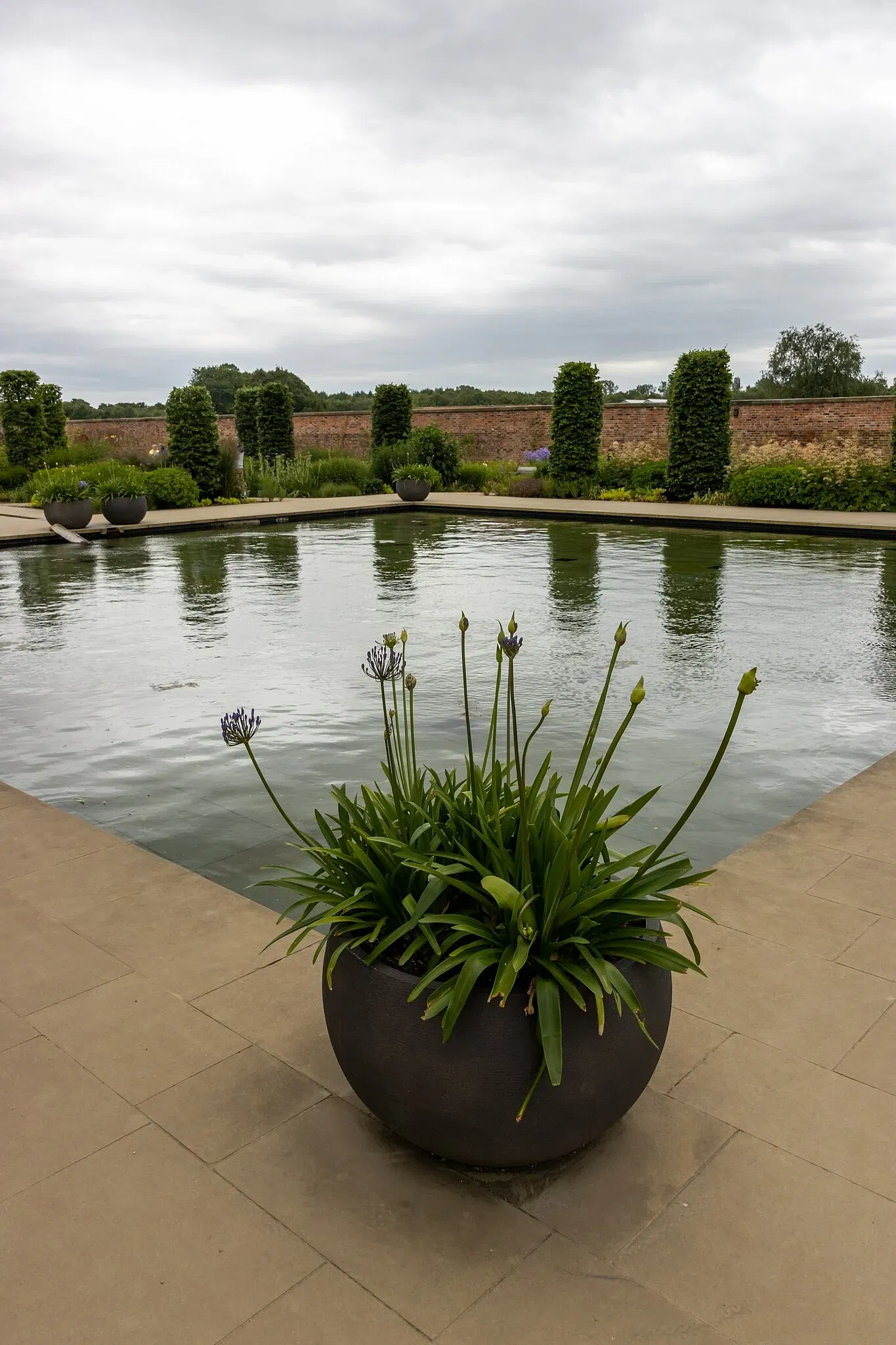 RHS Garden Bridgewater