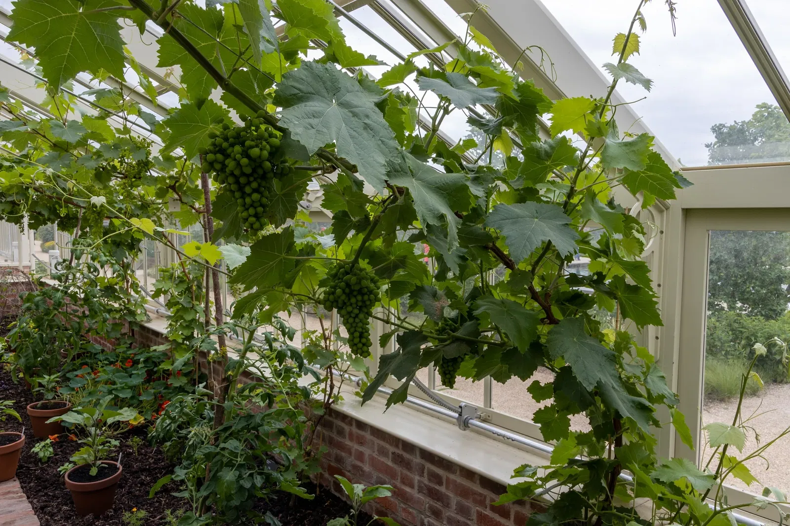 RHS Garden Bridgewater