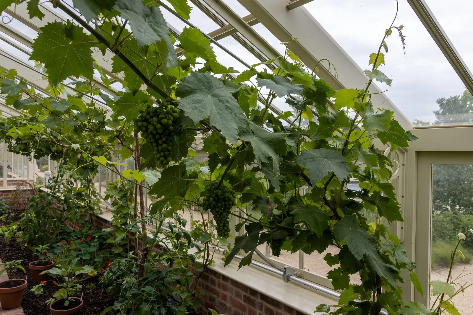 RHS Garden Bridgewater