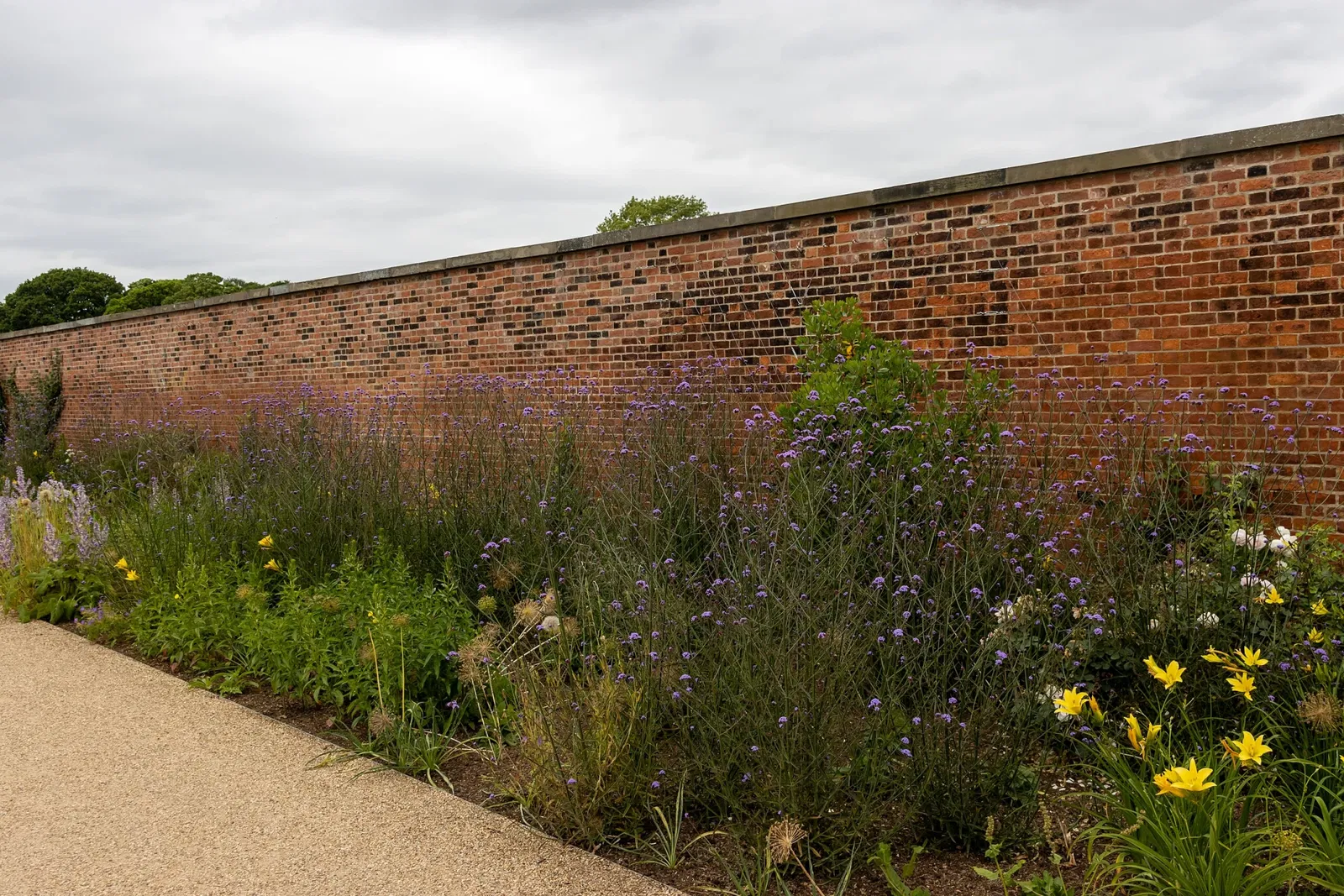 RHS Garden Bridgewater