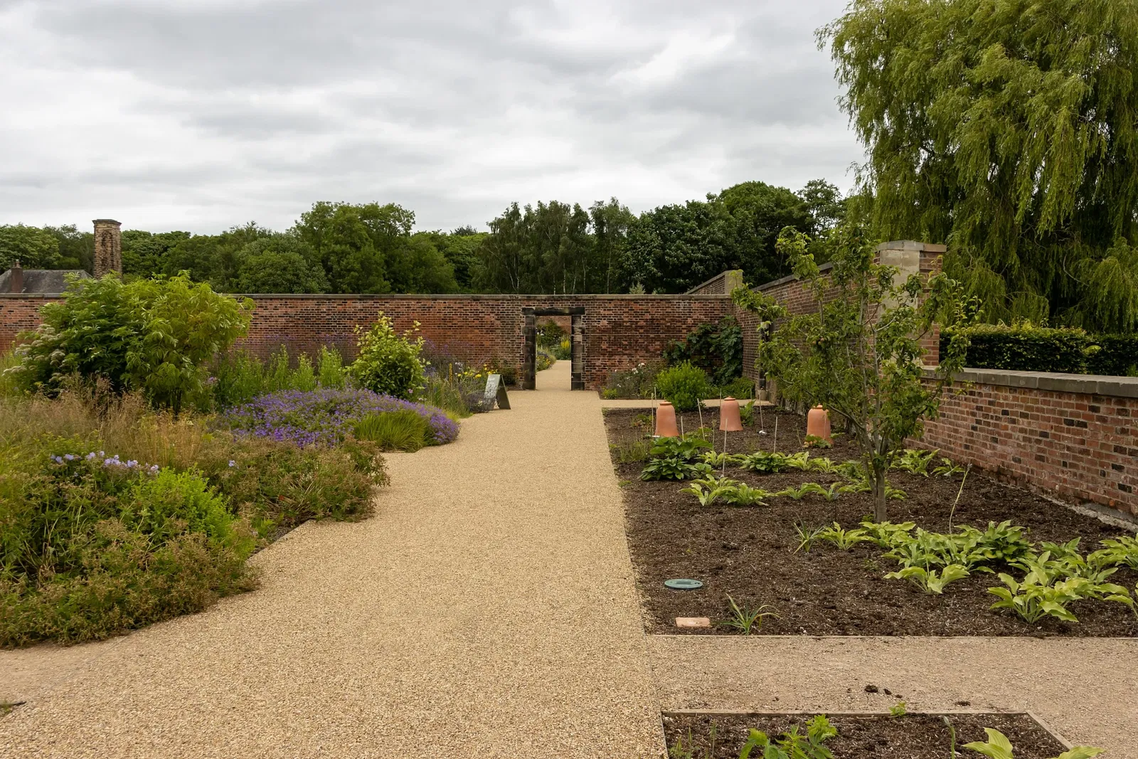 RHS Garden Bridgewater