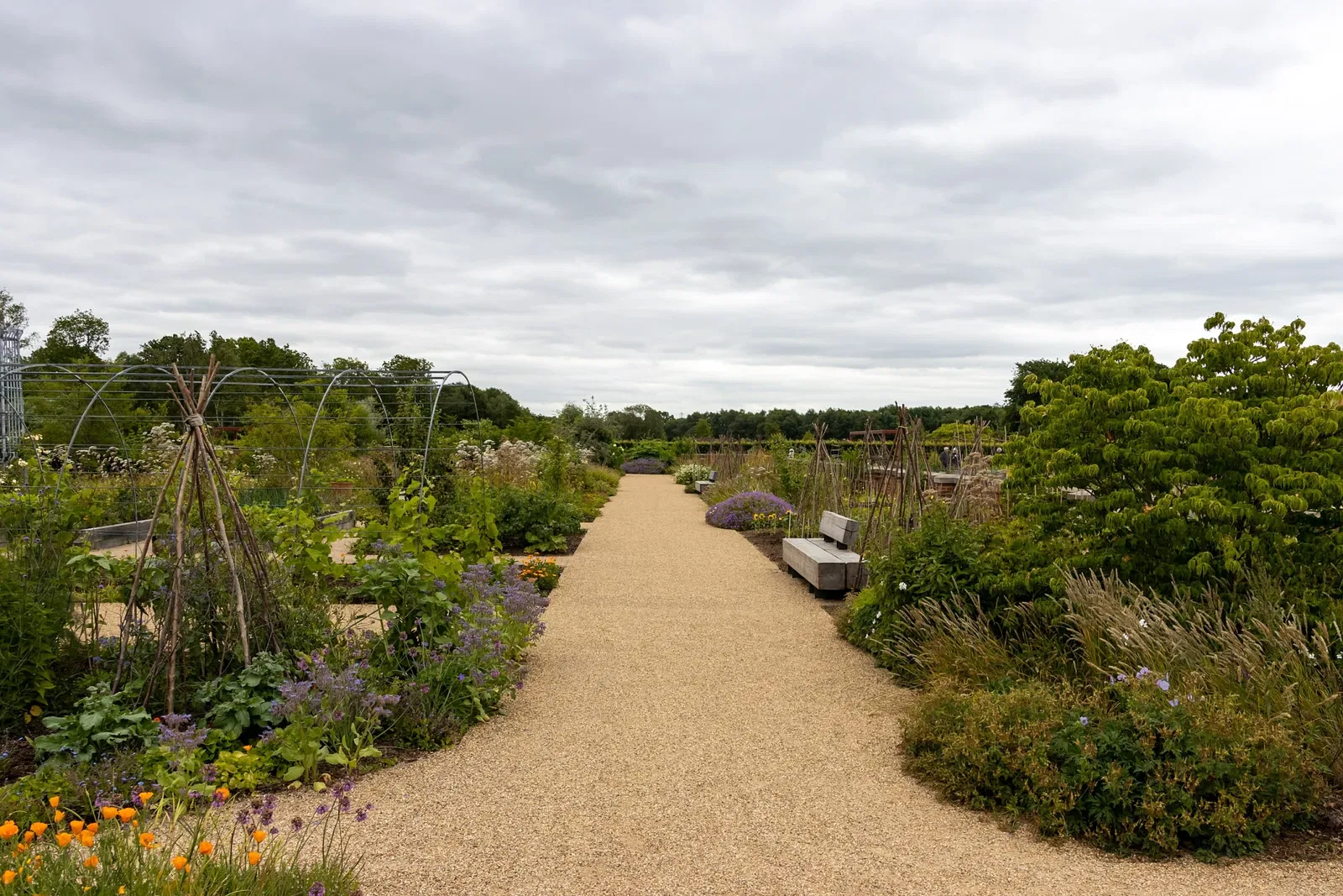 RHS Garden Bridgewater