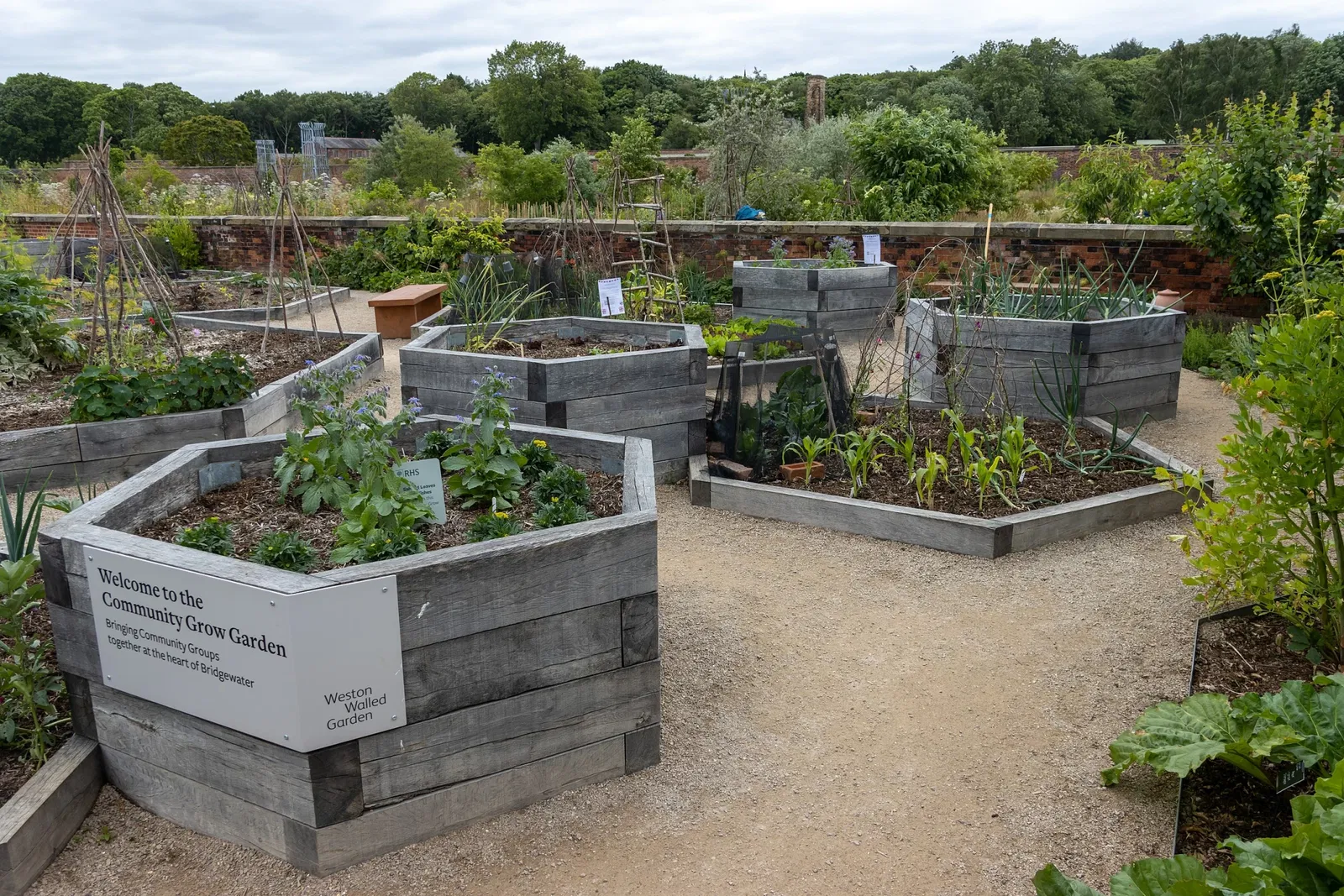 RHS Garden Bridgewater