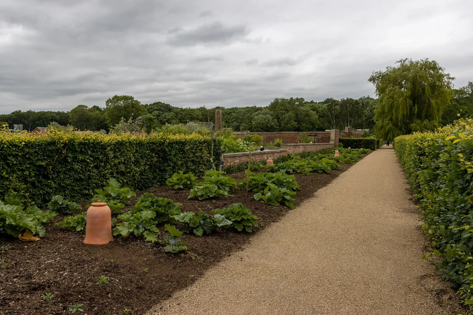 RHS Garden Bridgewater