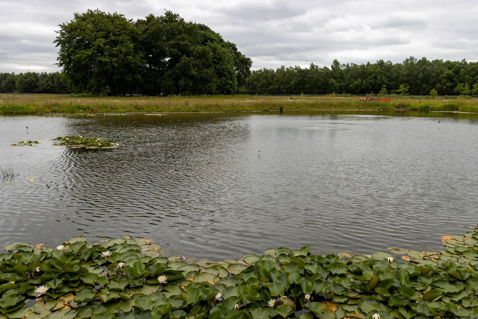 RHS Garden Bridgewater