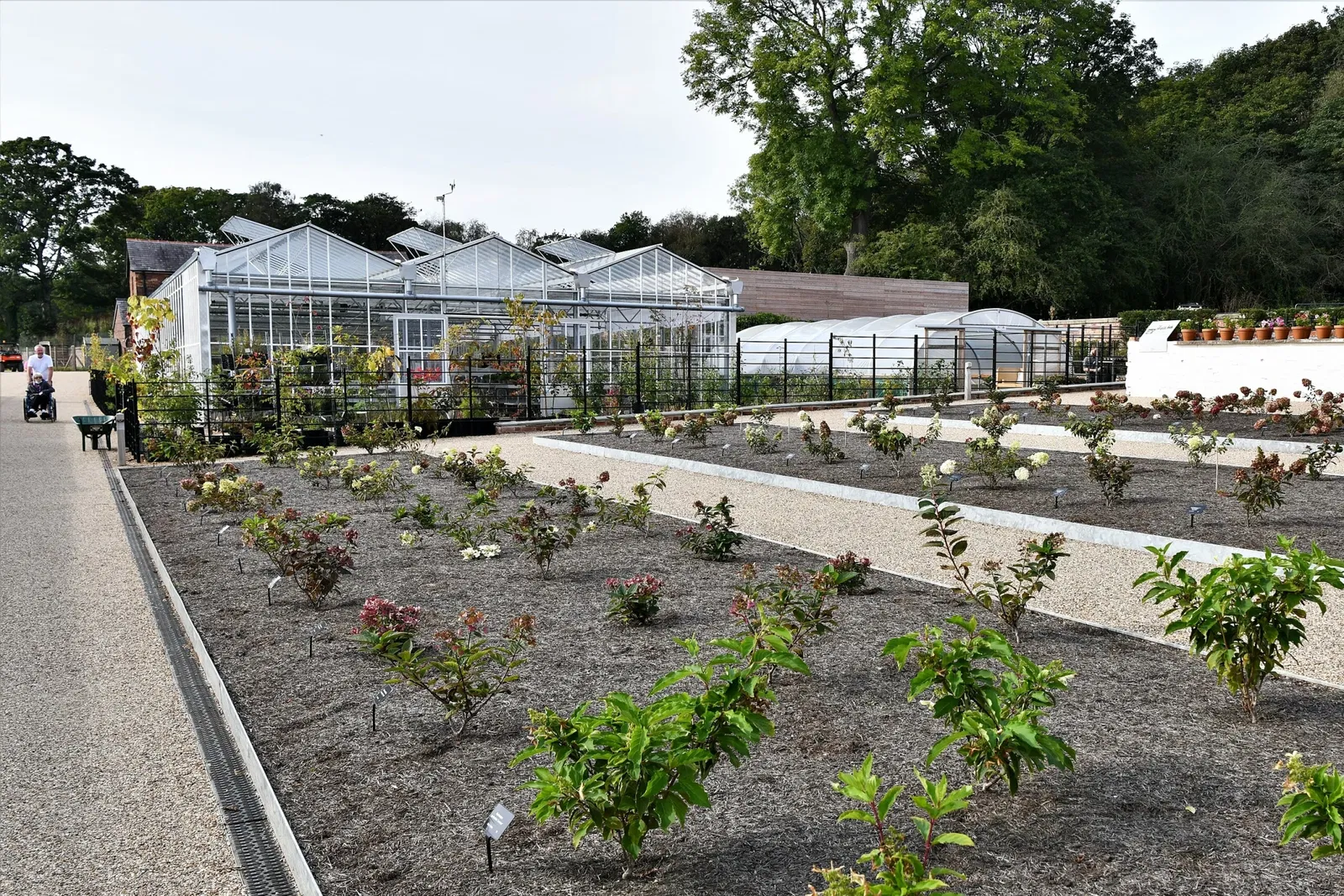 RHS Garden Bridgewater