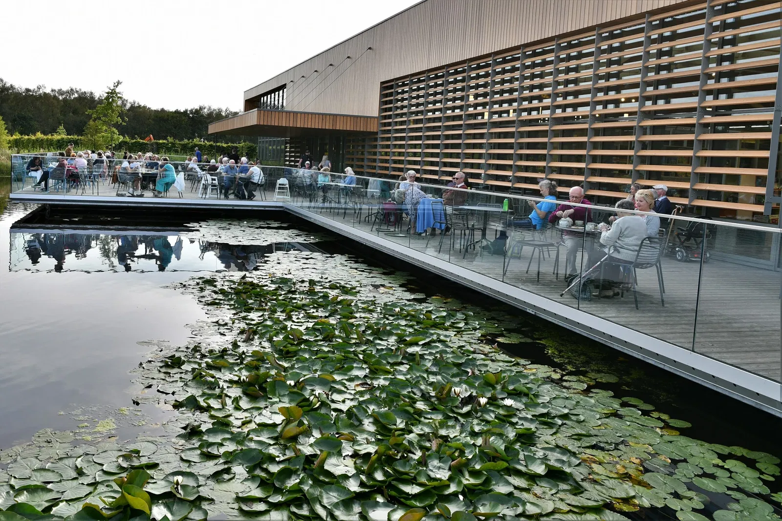 RHS Garden Bridgewater