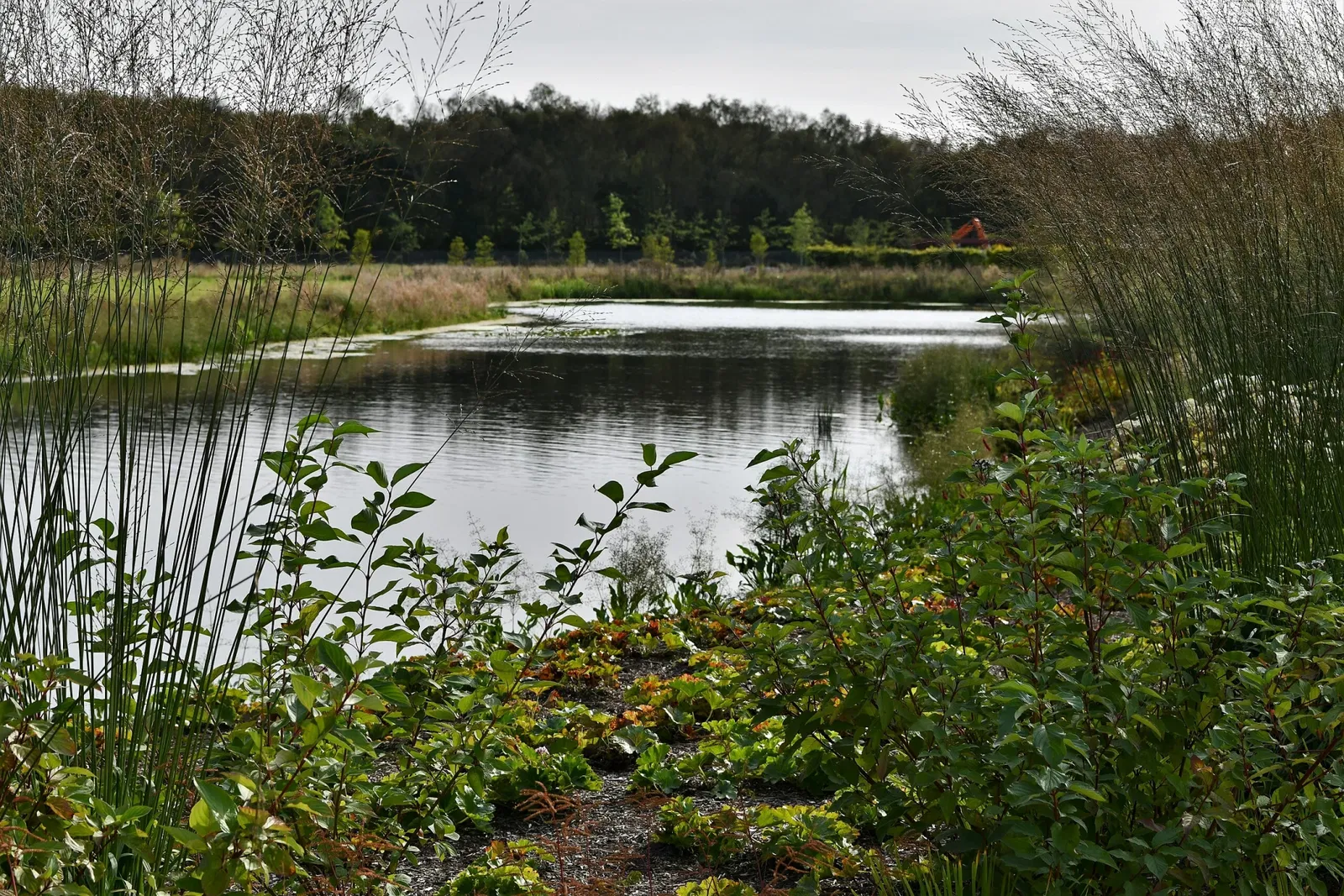 RHS Garden Bridgewater