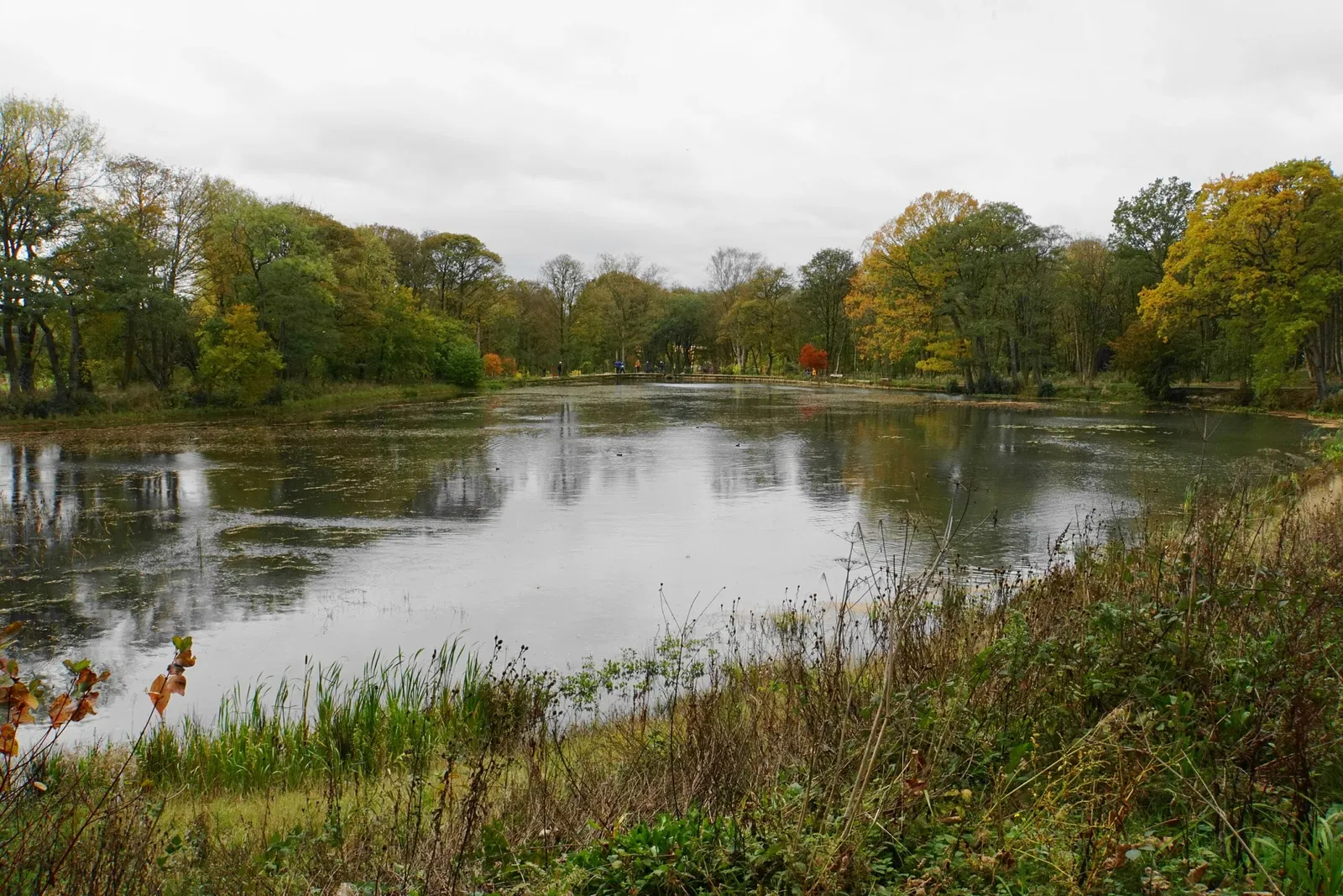 RHS Garden Bridgewater