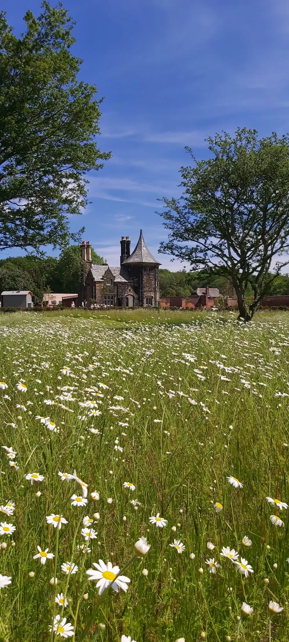 RHS Garden Bridgewater