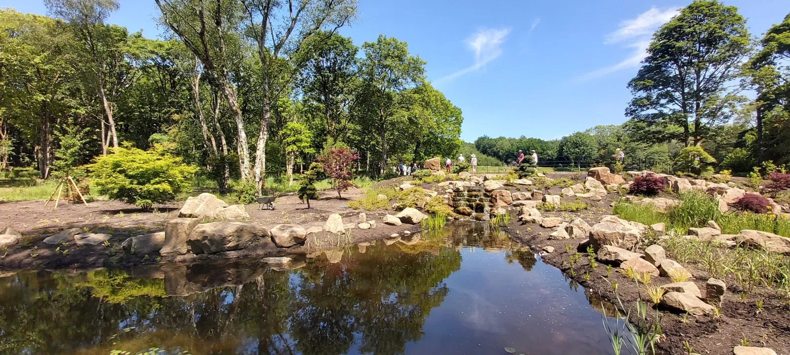 RHS Garden Bridgewater