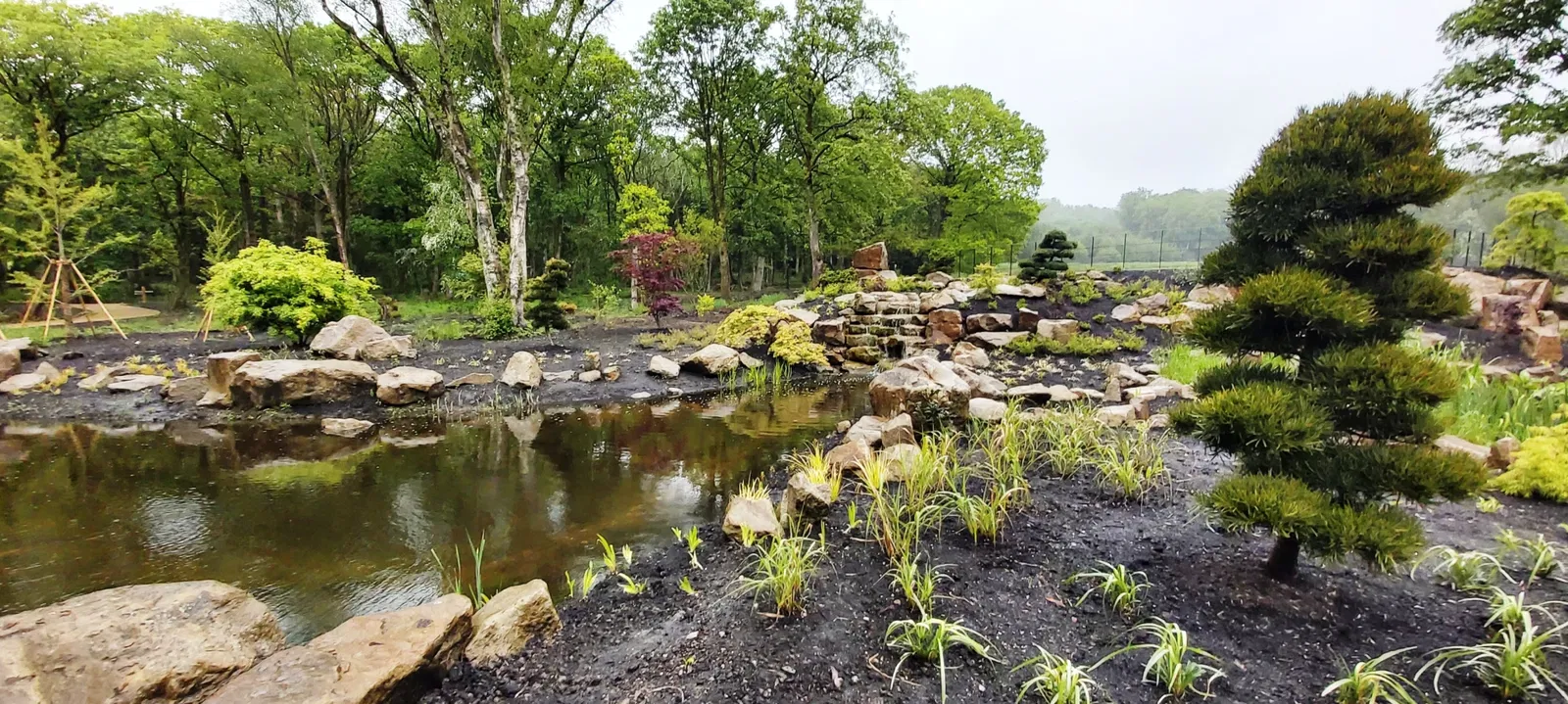 RHS Garden Bridgewater