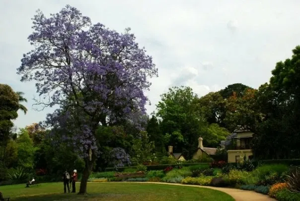 Royal Botanic Gardens Victoria