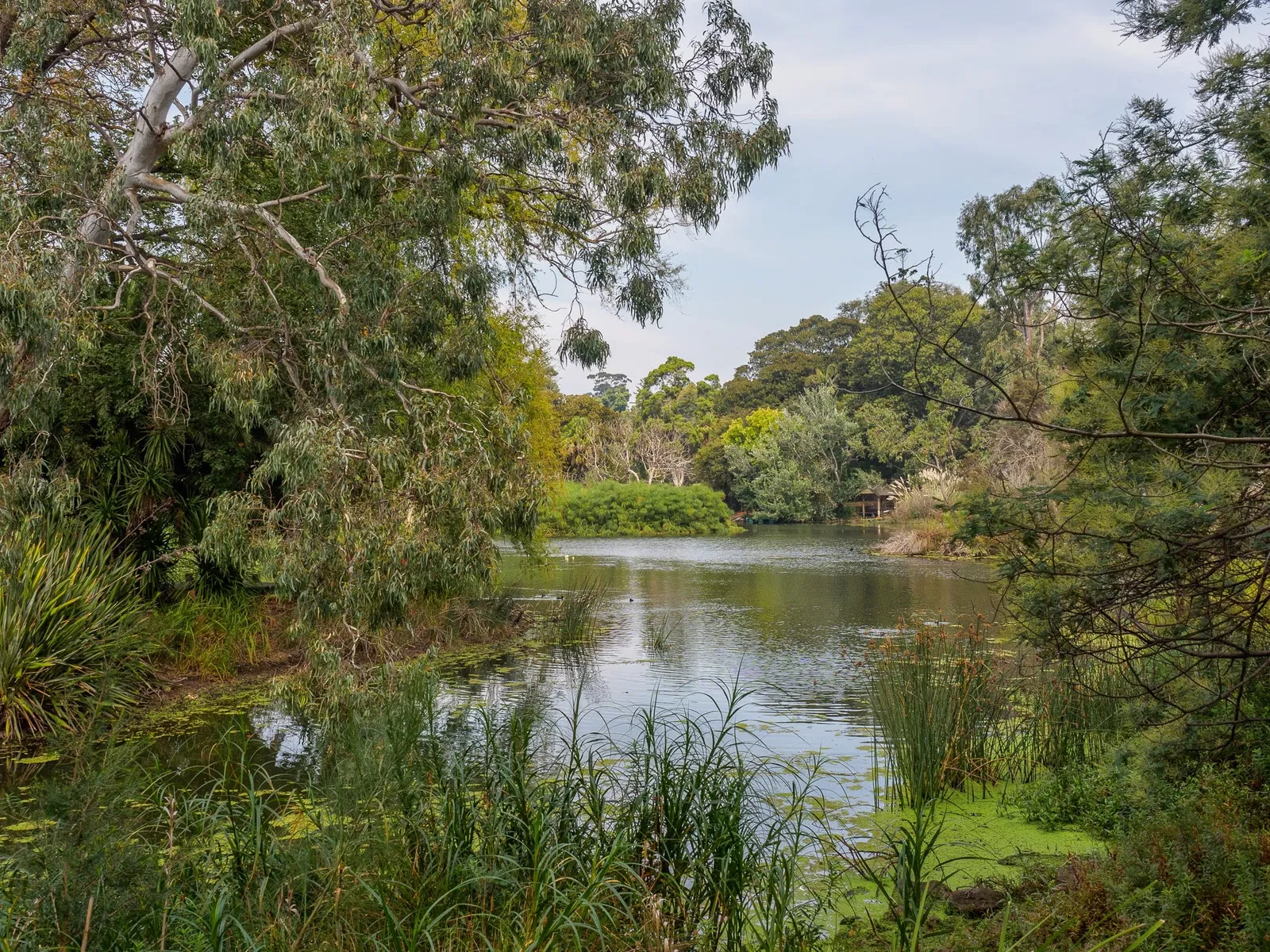 Royal Botanic Gardens Victoria