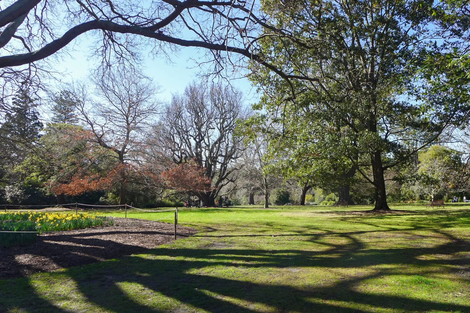 Royal Botanic Gardens Victoria