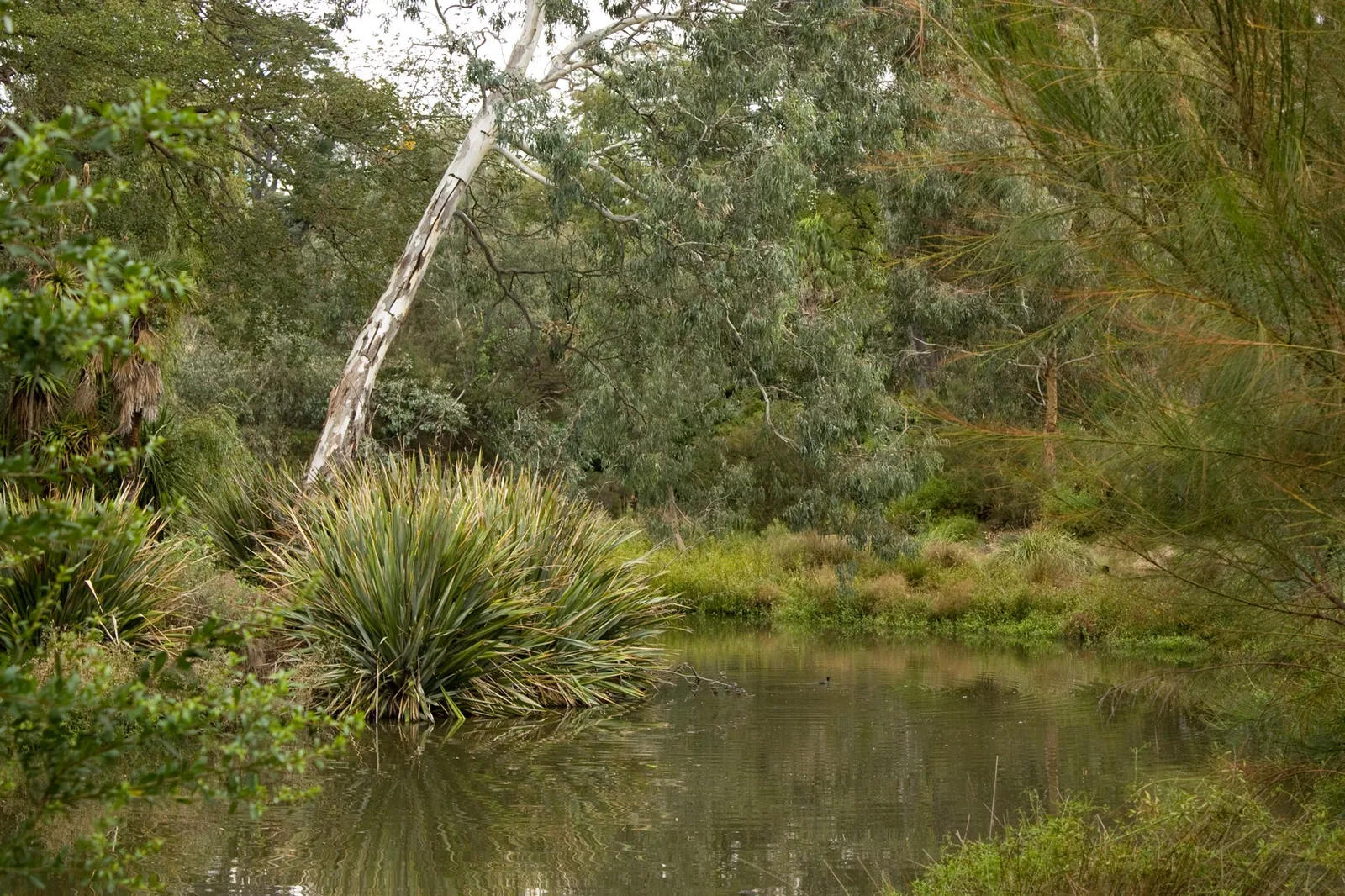 Royal Botanic Gardens Victoria