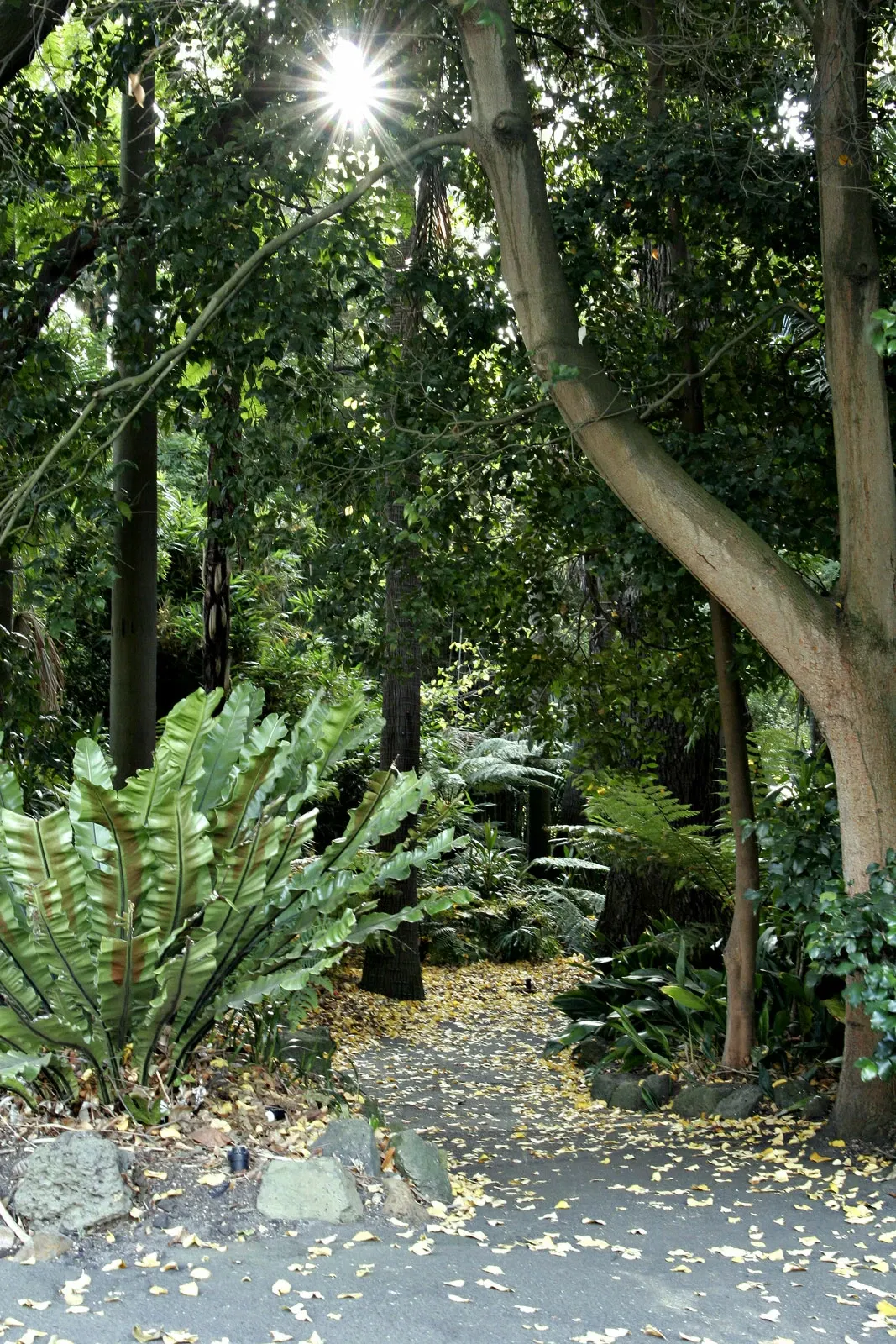 Royal Botanic Gardens Victoria