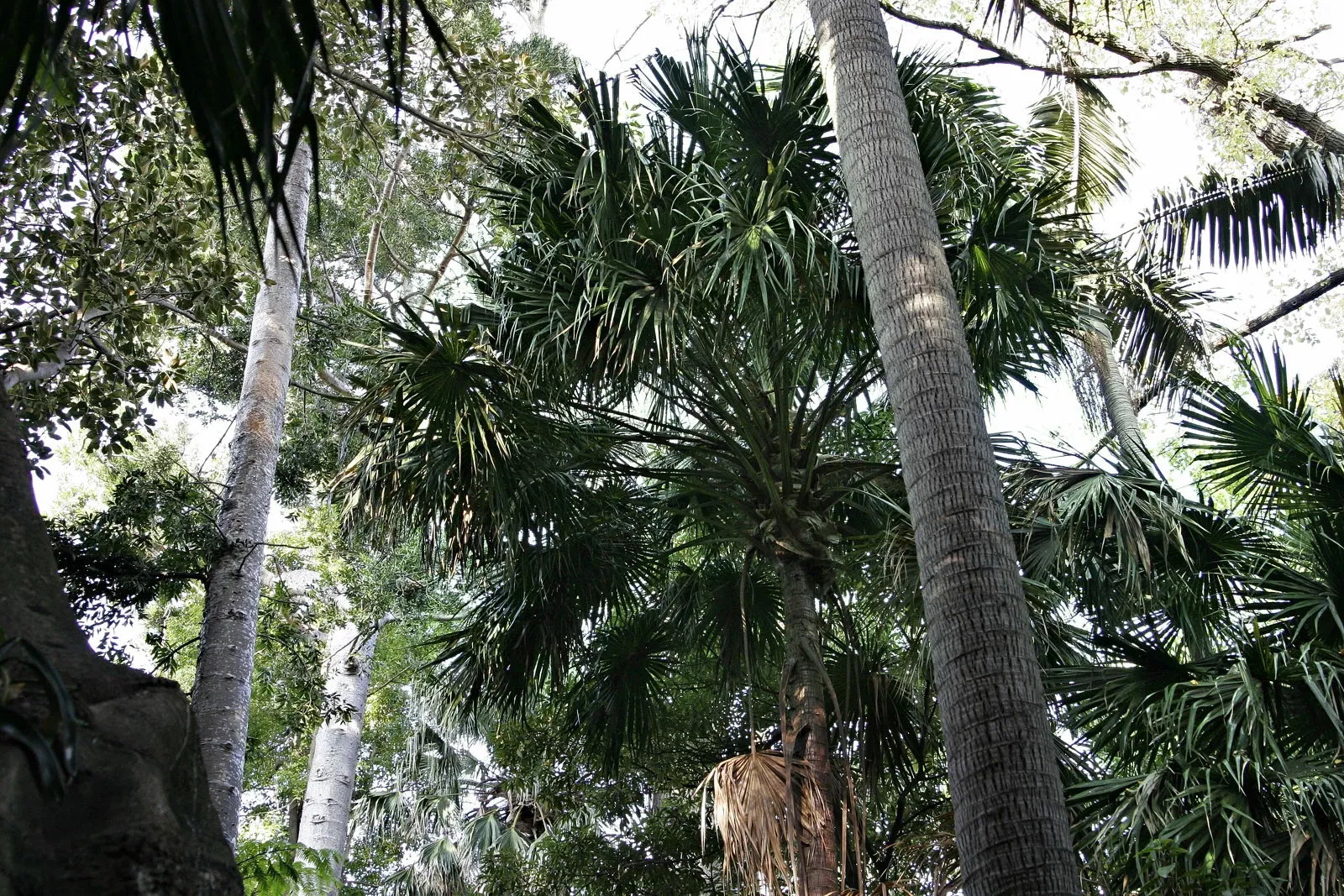 Royal Botanic Gardens Victoria