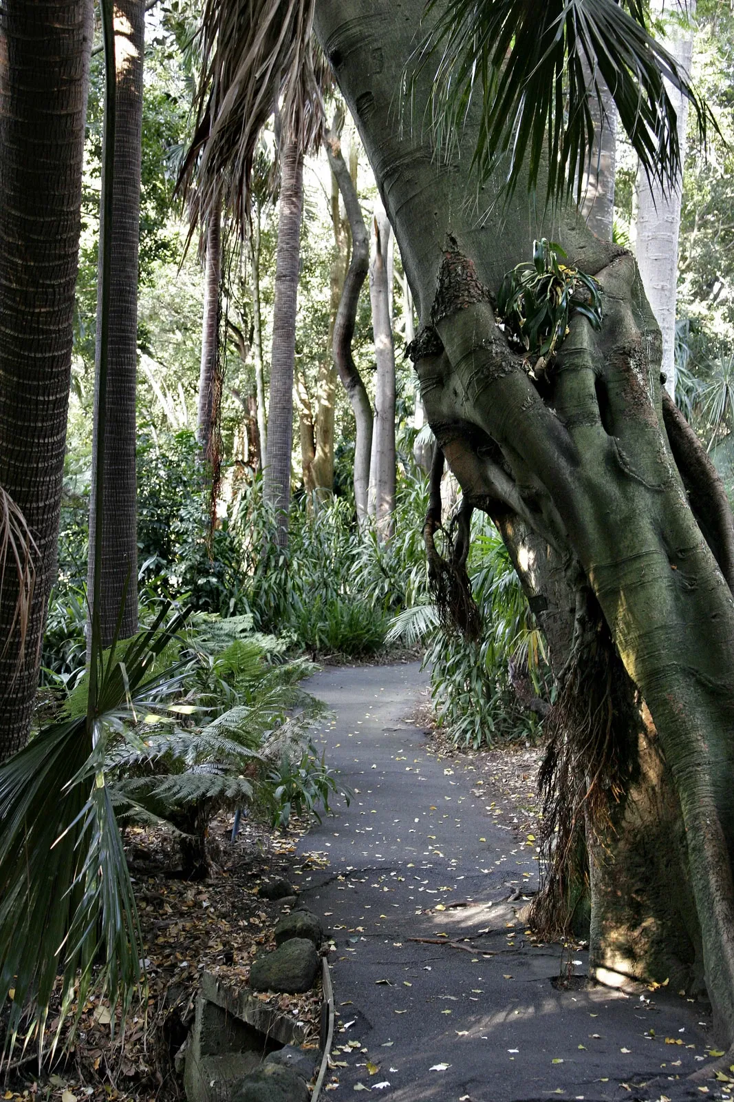 Royal Botanic Gardens Victoria